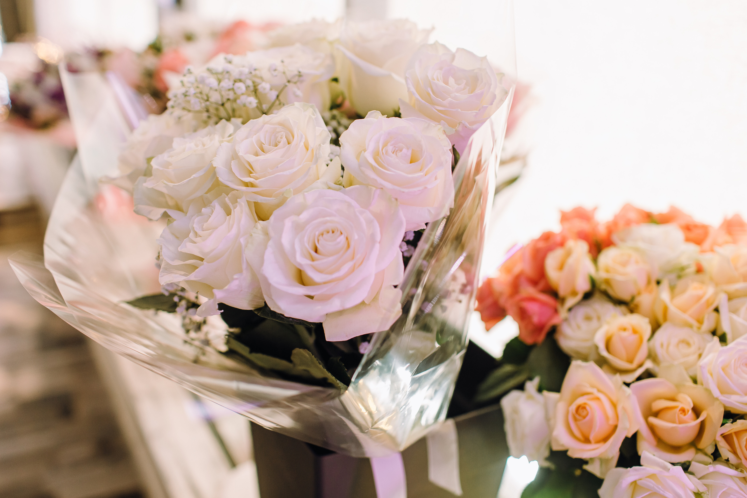 Даниил и Ксения. Ирина Носова - семейный и детский фотограф