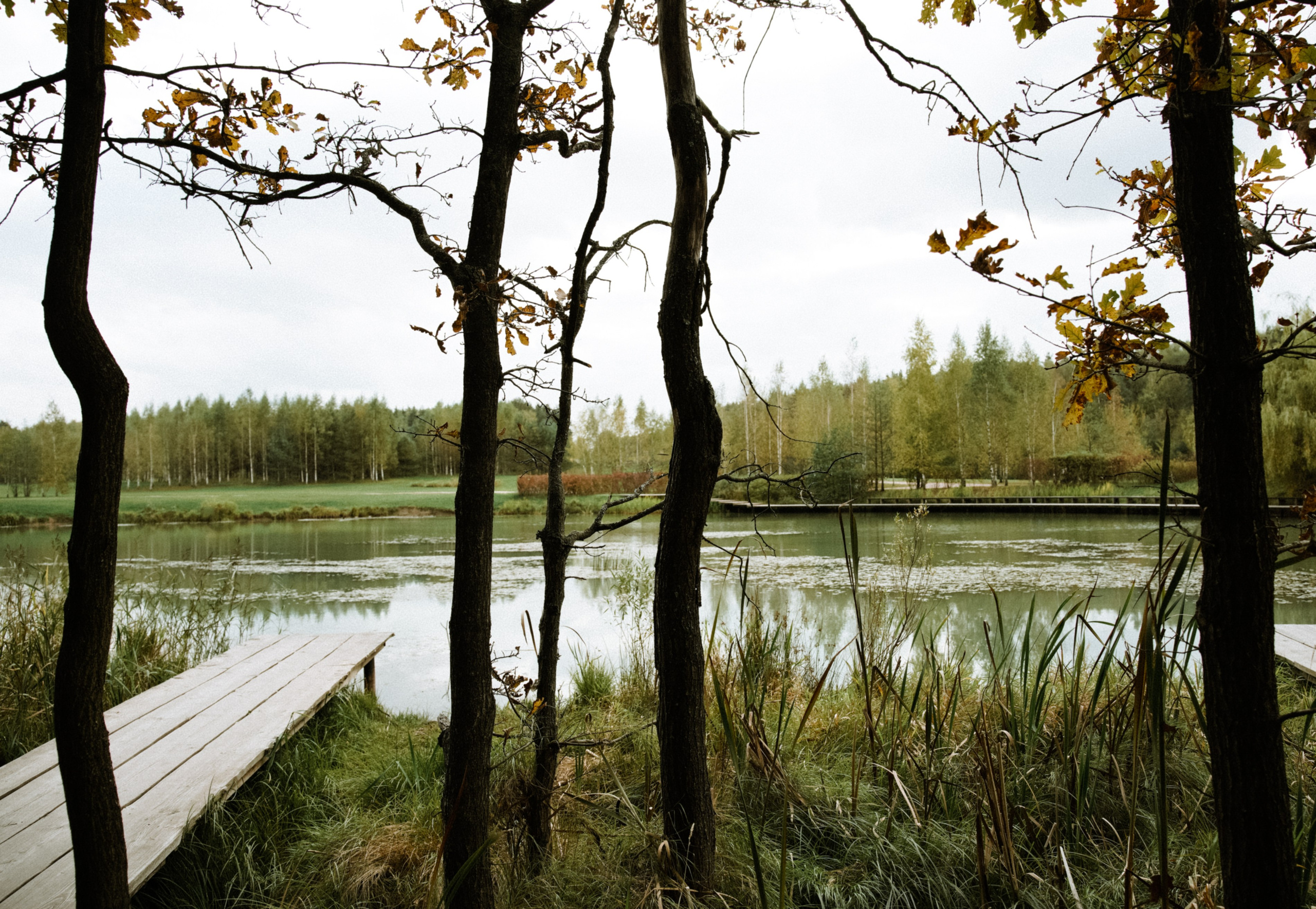 Осень 2025. Фотограф из Москвы — DASHA NOVA | Авторская фотография в разных жанрах