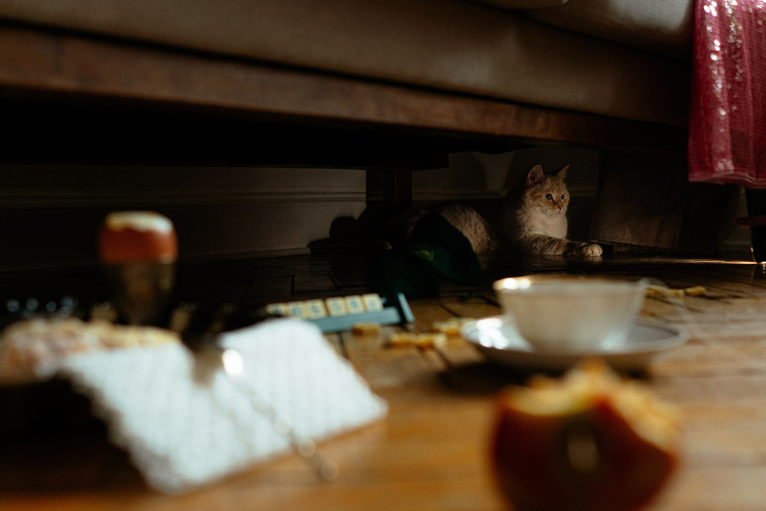 Проект «Я уже выхожу». Женский фотограф в Москве Анастасия Сидорова