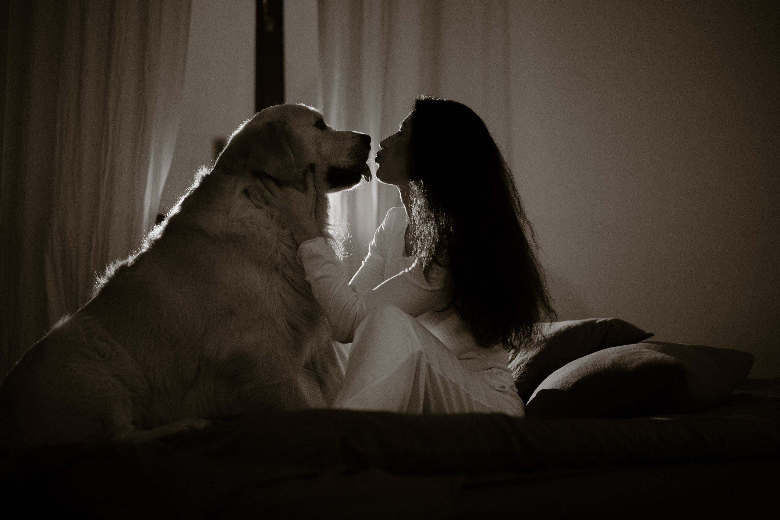 Лёва и его семья. Фотограф — анималист •love-story•|Санкт-Петербург