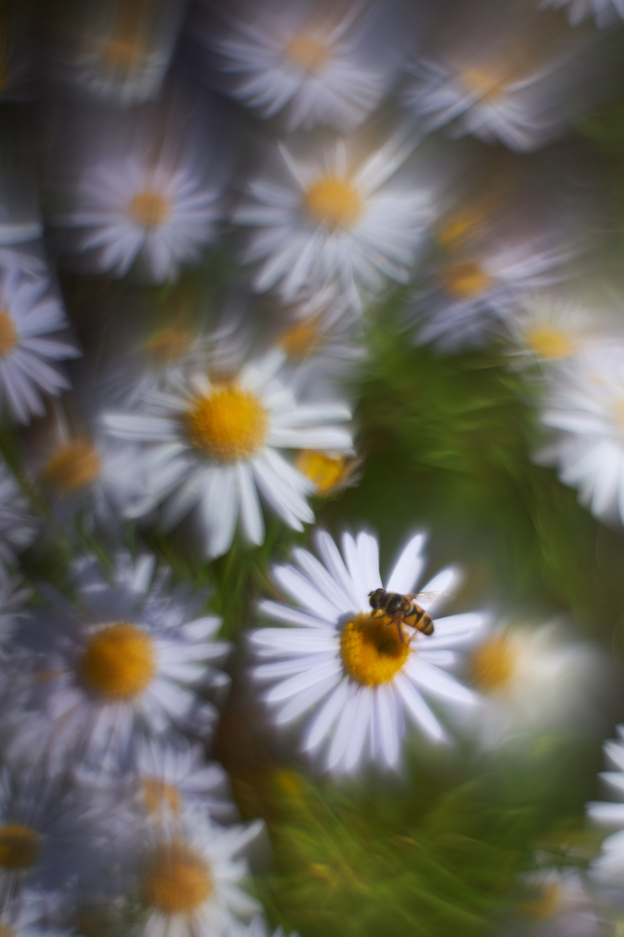 «Незримые Миры». Арт-фотограф во Владивостоке Дмитрий Осипчук