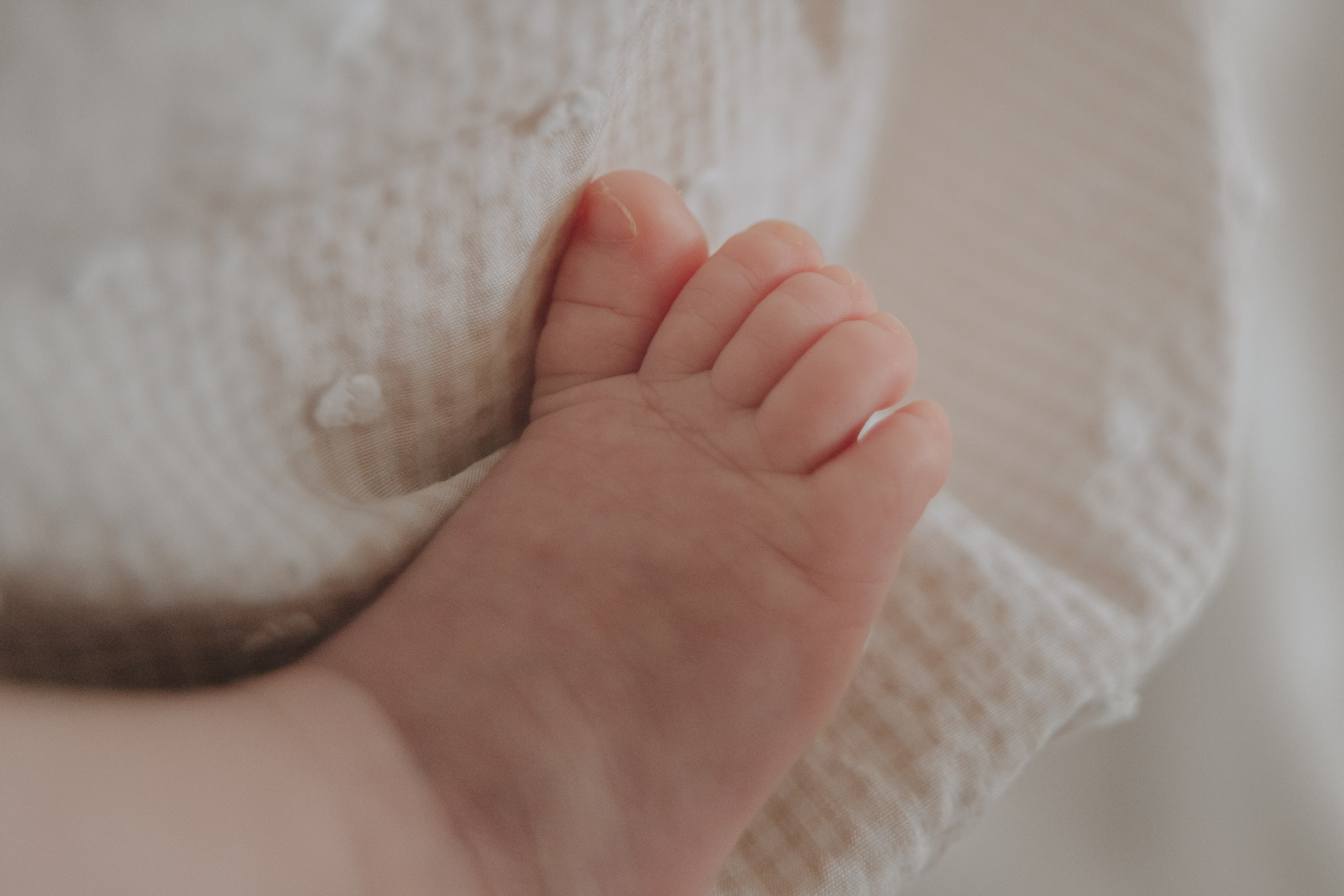 Домашние Съемки и малыши до года. Свадебный и семейный фотограф в Москве и Подмосковье Татьяна Емцова