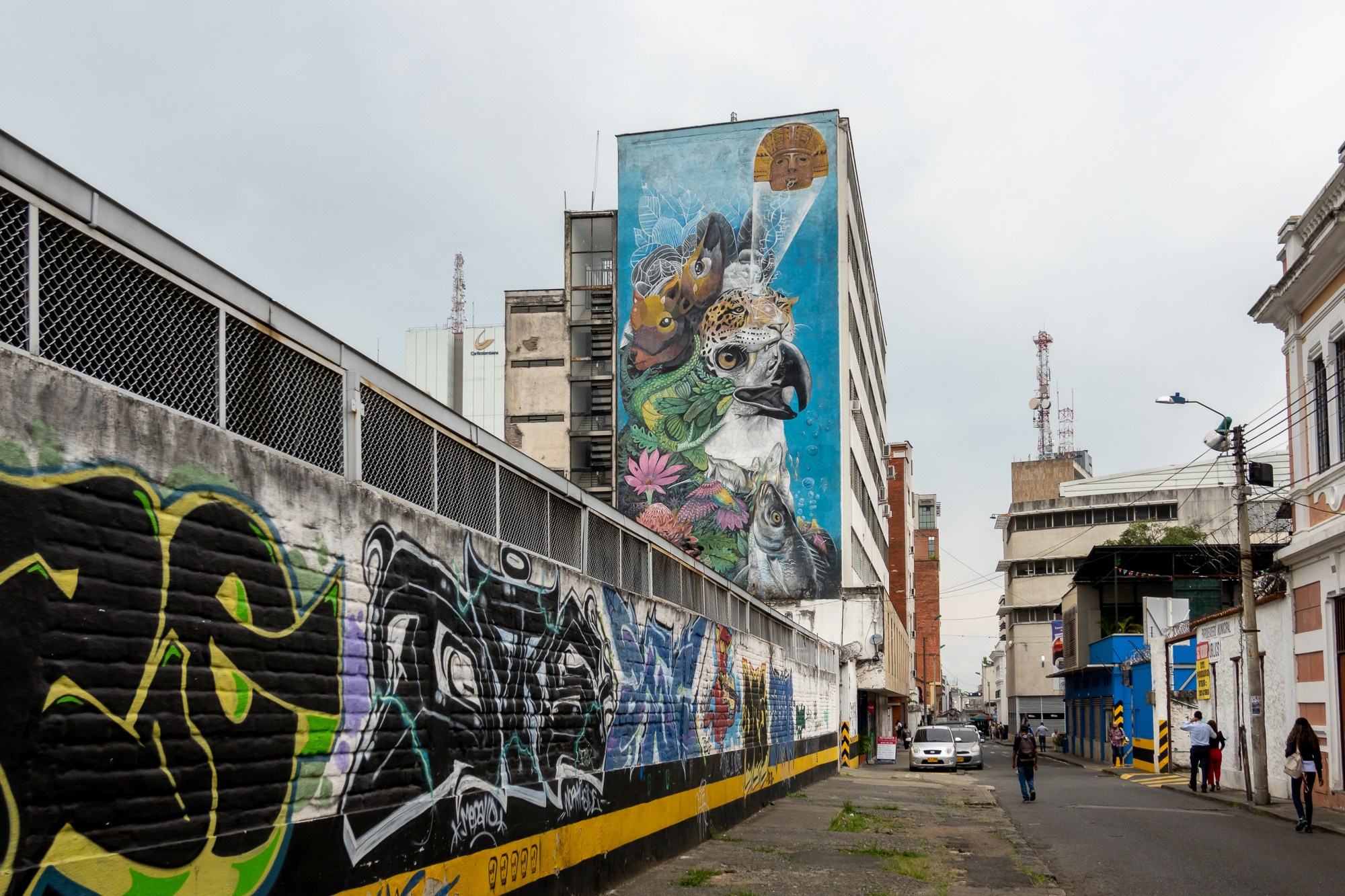Фотограф Алексей Скоробогатько. Колумбия, г. Кали. Photographer Alexey Skorobogatko. Cali, Colombia. Фотограф Алексей Скоробогатько