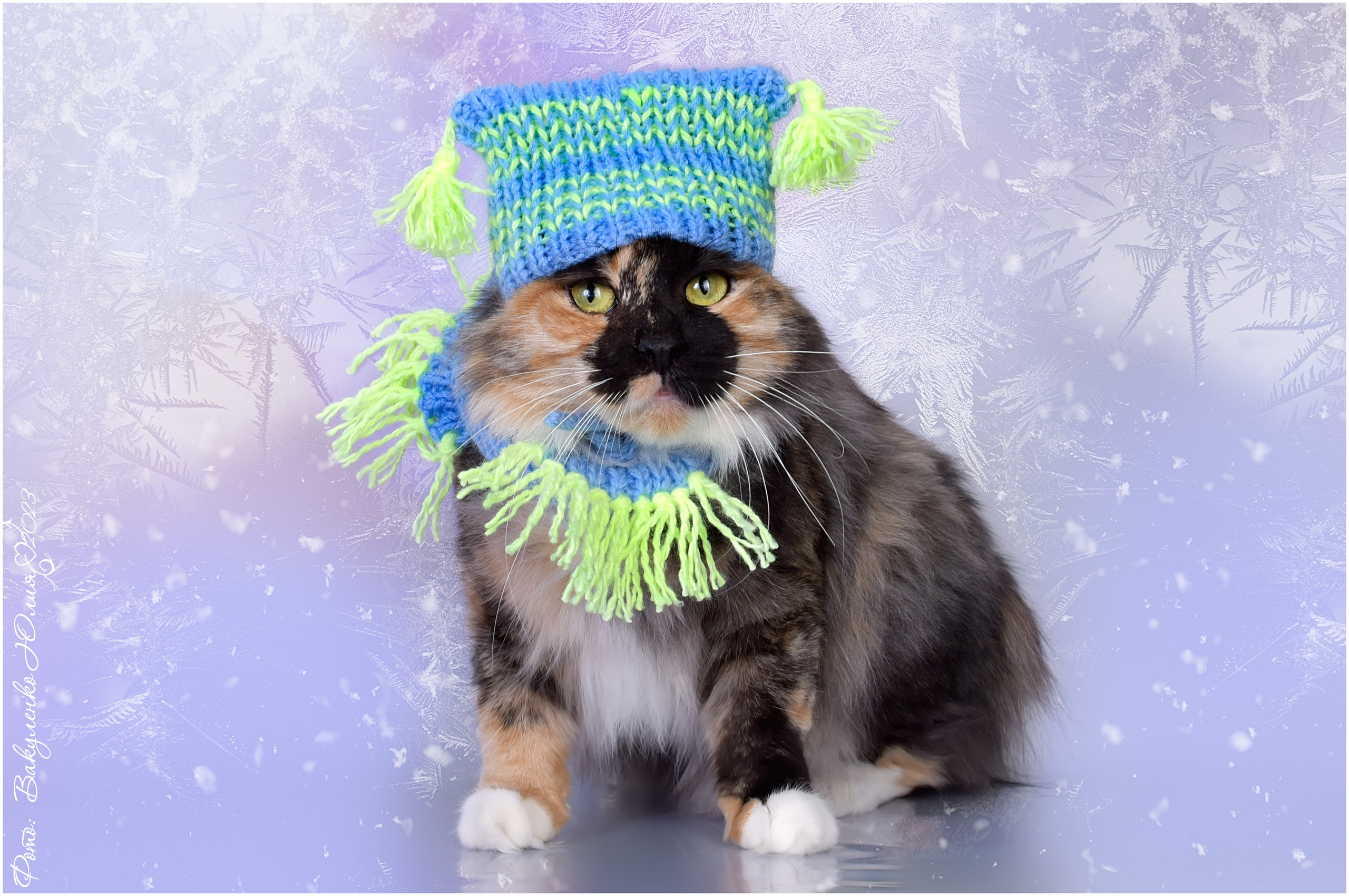 Взрослые. Фотограф анималист | семейный Юлия Вакуленко, г. Краснодар