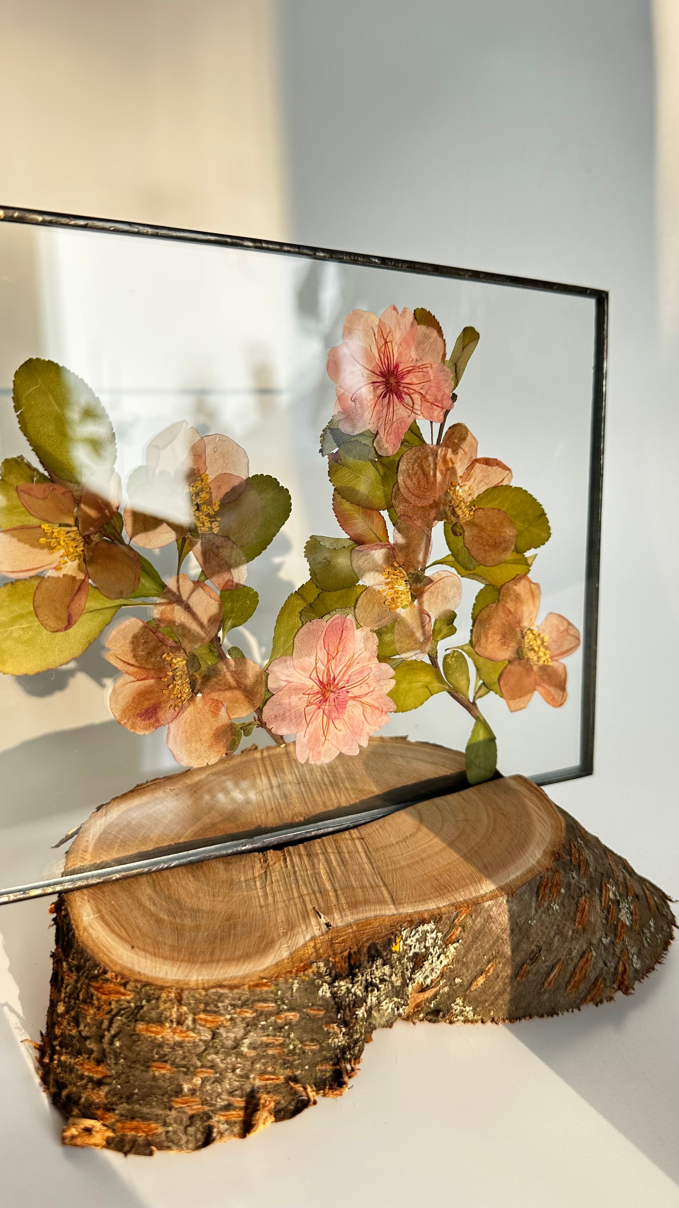 Гербарий в стекле с сухоцветами (витраж в технике тиффани). Гербарий в стекле, интерьерные панно, витражи с сухоцветами в технике тиффани