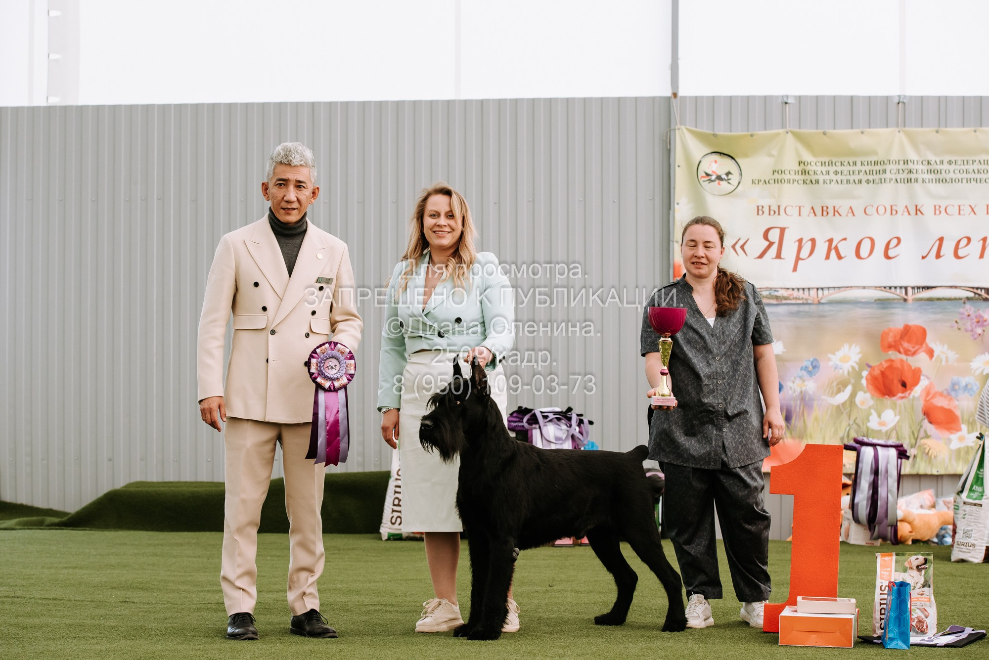 Выставка собак Красноярск 2.06. Фотограф Диана Оленина Красноярск / Братск