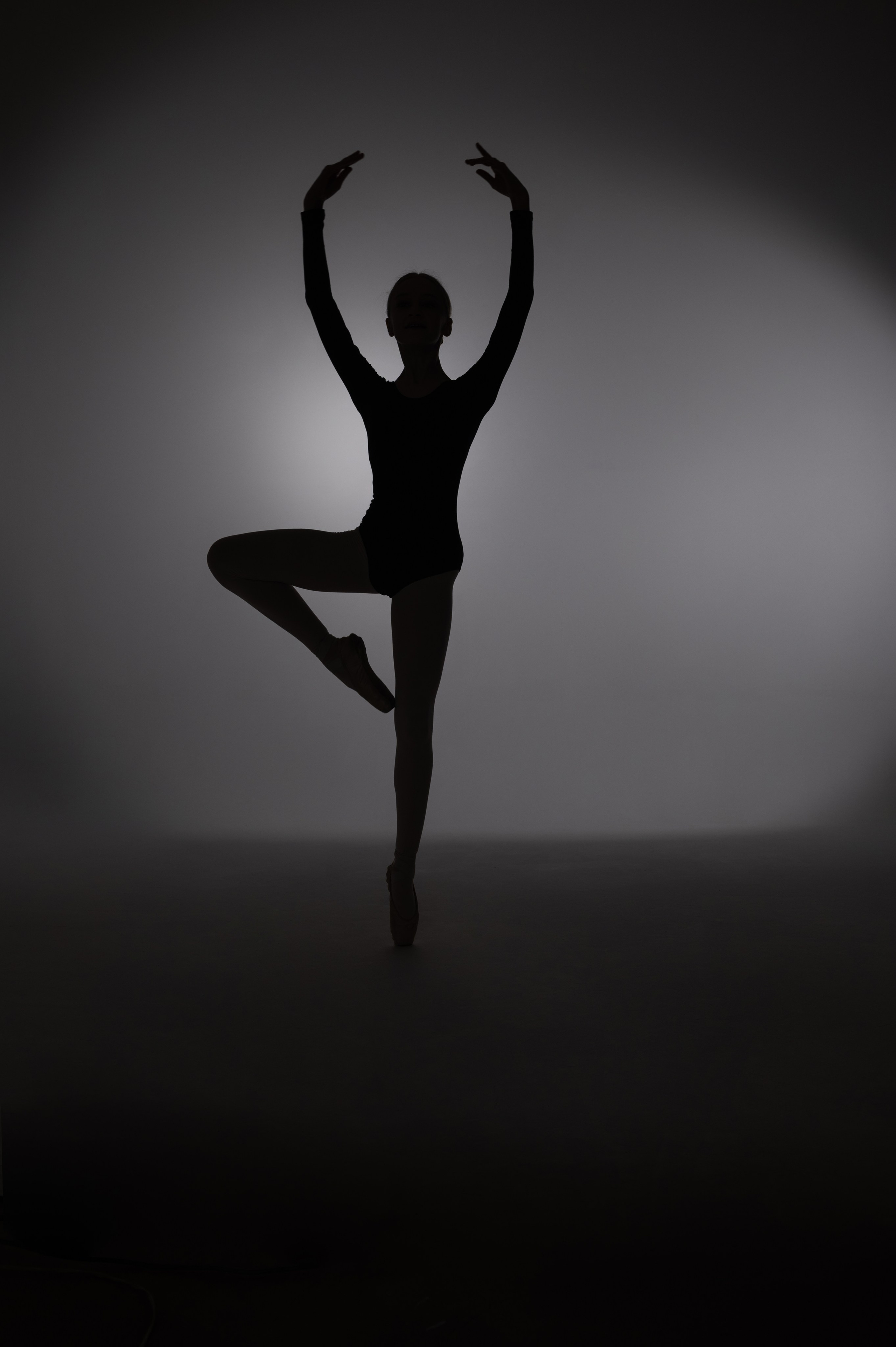 Балерины. Свадебный и семейный фотограф в Дзержинске Екатерина Шулакова