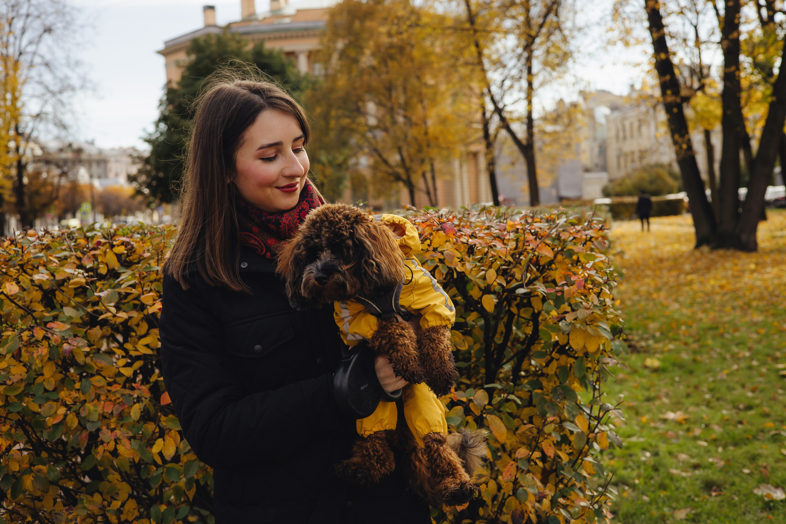 Летающая Мерси