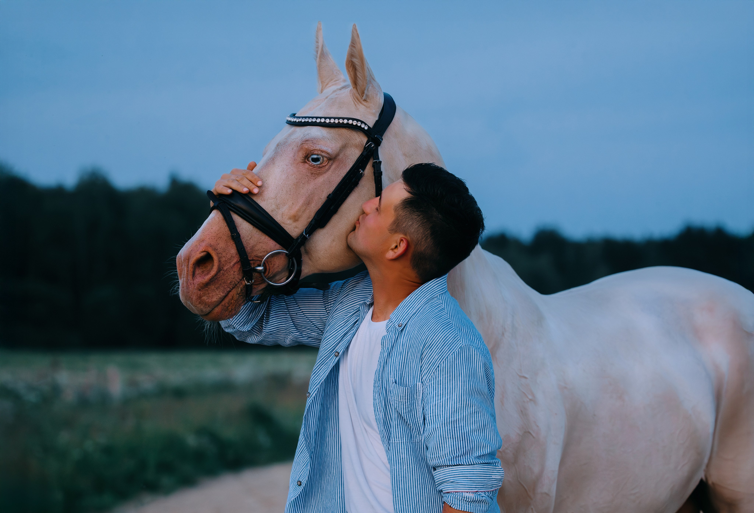 Кирилл и Перигей. Фотограф-анималист Ксендзова Кристина