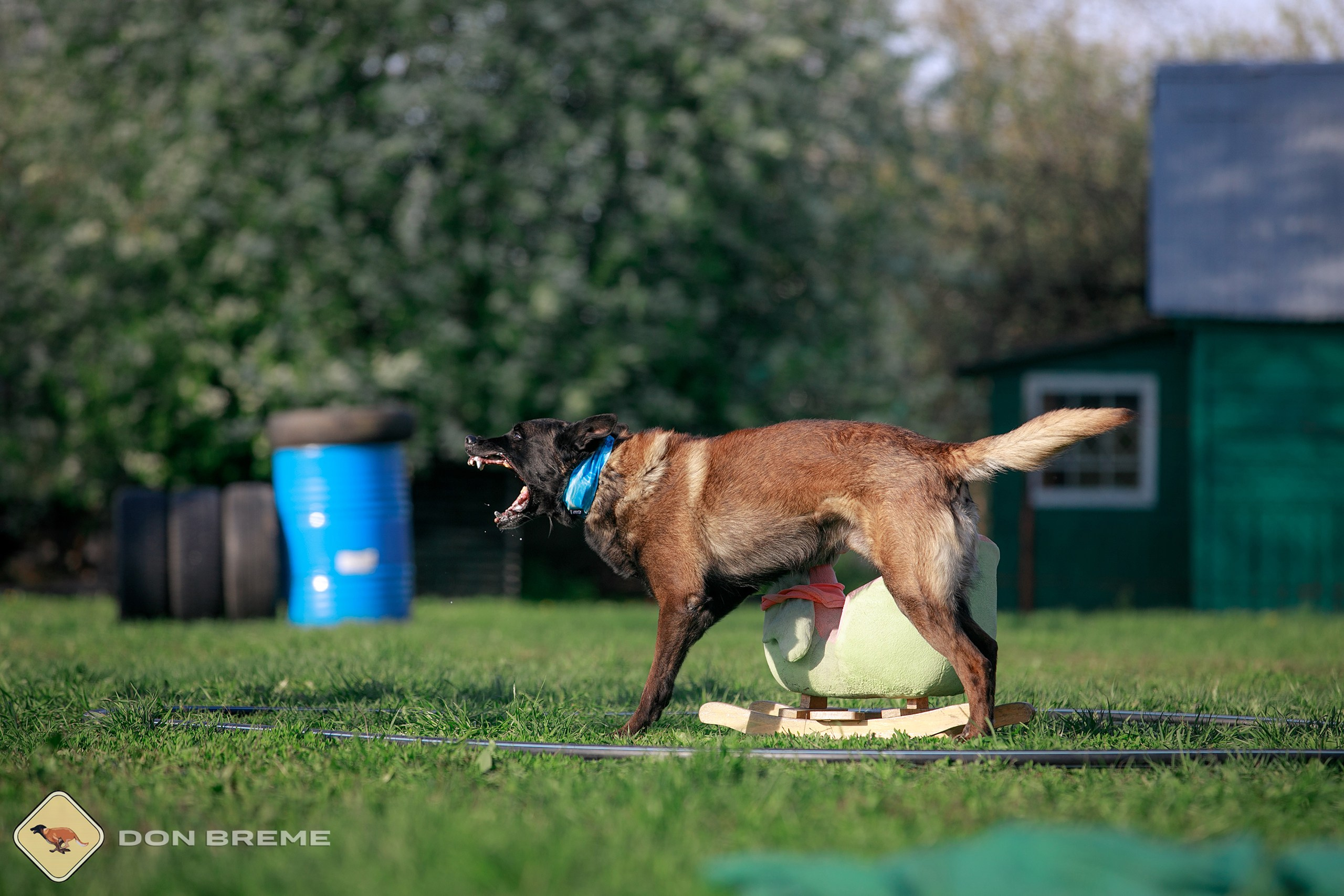 Семинар для фигурантов, день 4. Фотограф-анималист Mary Mart — Москва, Питер