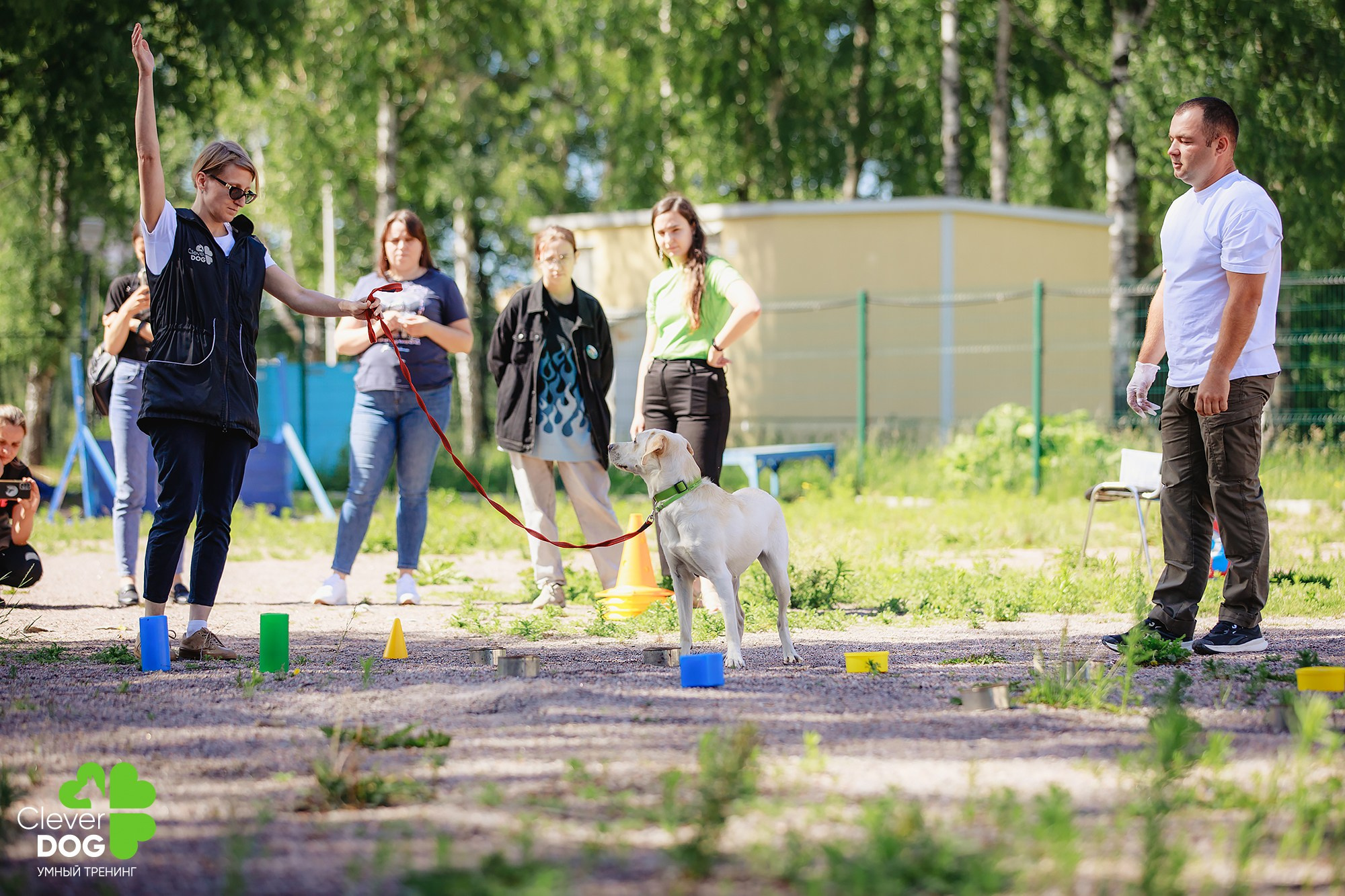 Семинар по поиску запаха с Иваном Ломовым, организатор CleverDog, СПб. Фотограф-анималист Mary Mart — Москва, Питер
