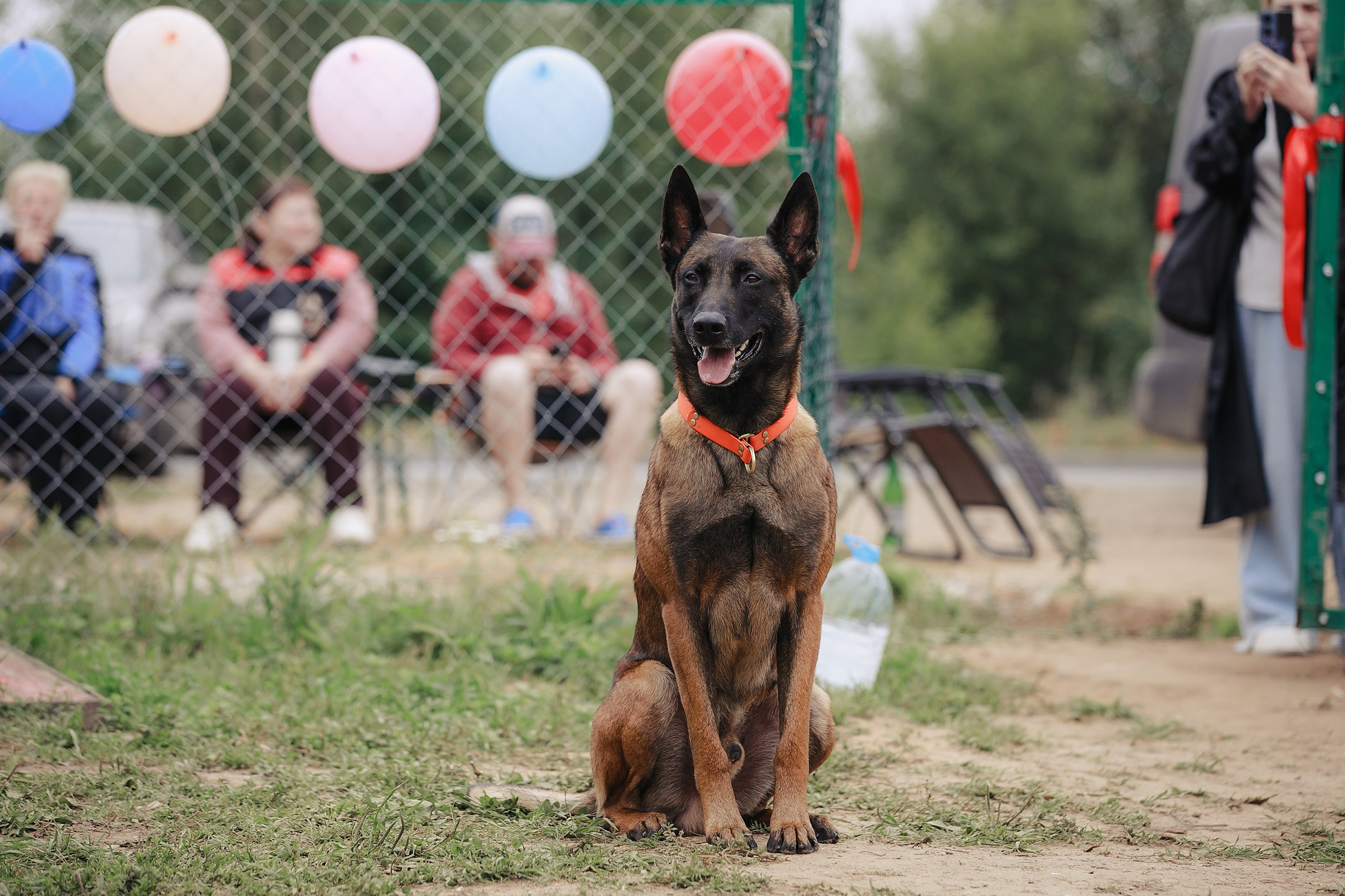 Мондьоринг М1, М2, М3, Вологда. Фотограф-анималист Mary Mart — Москва, Питер