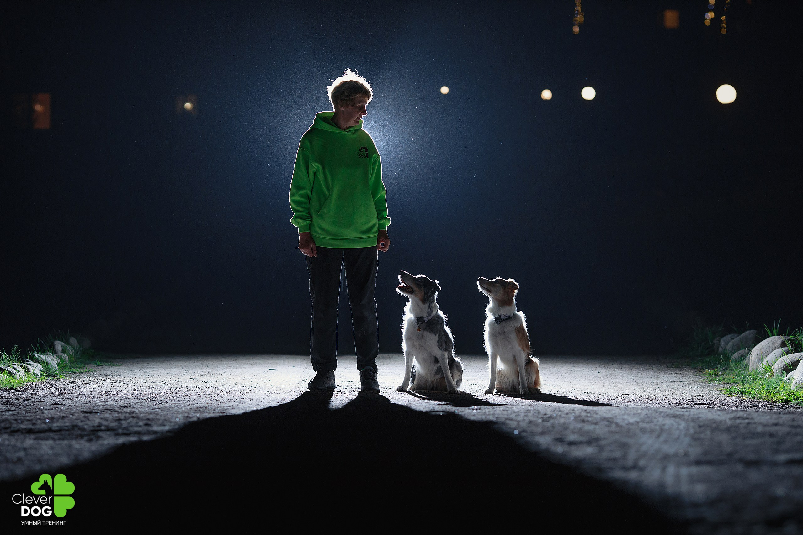 Кинологический лагерь CleverDog, 2024. Фотограф-анималист Mary Mart — Москва, Питер