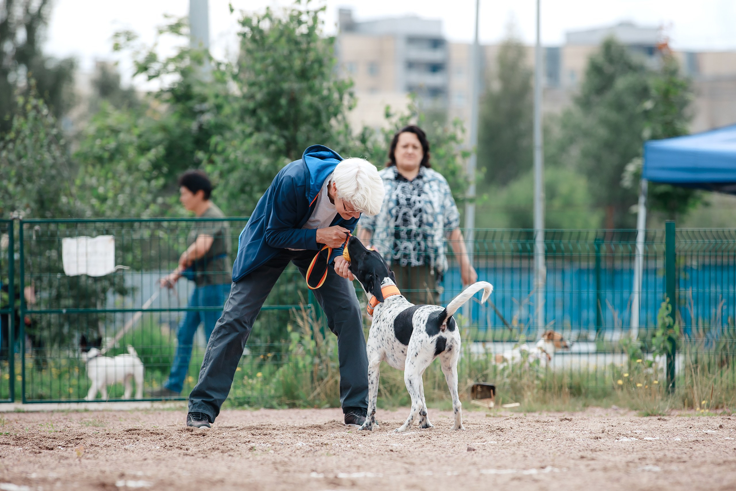 Питч&Гоу + веселые старты. Фотограф-анималист Mary Mart — Москва, Питер