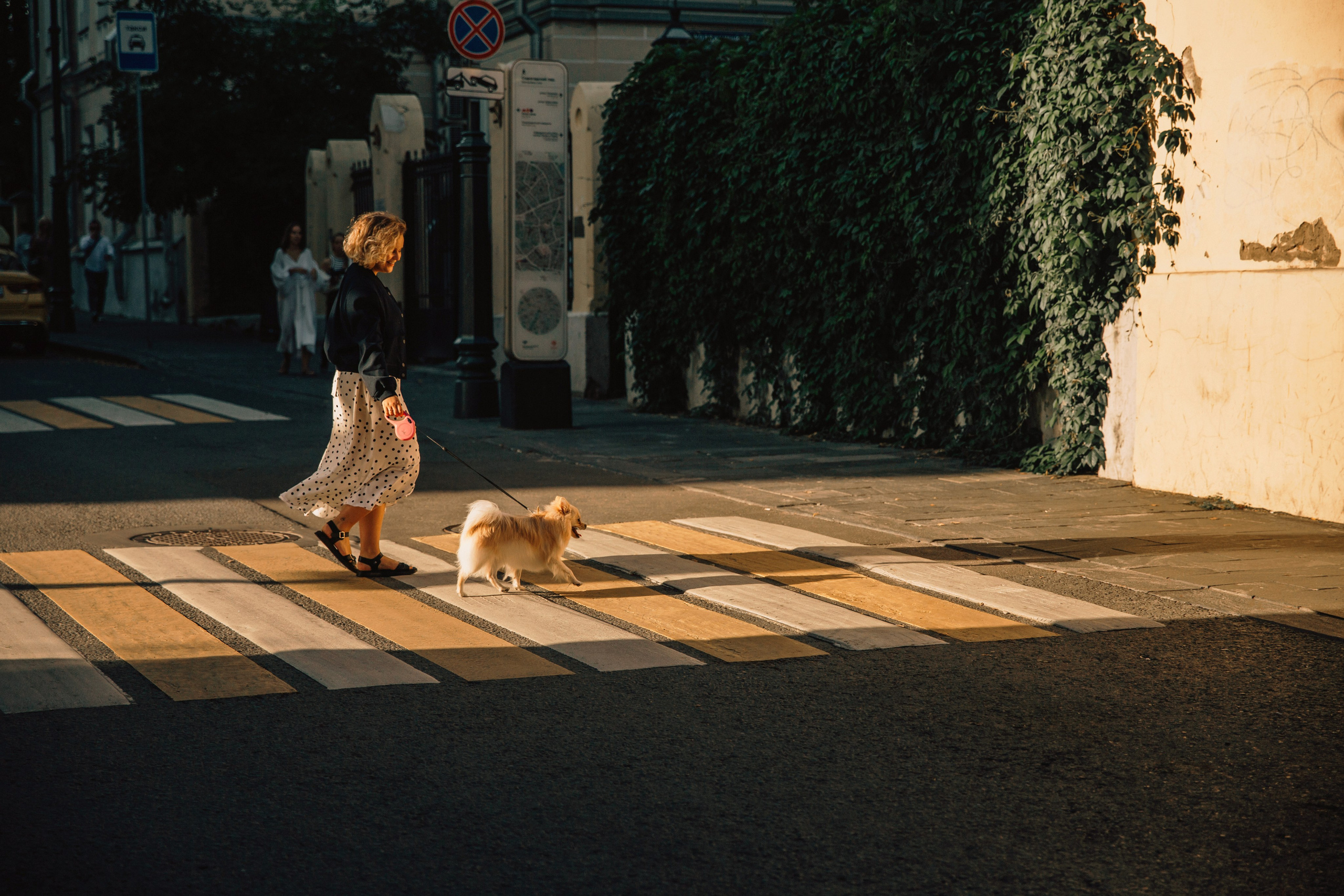Даша и Булка. Фотограф-анималист в Москве Соломонова Варвара