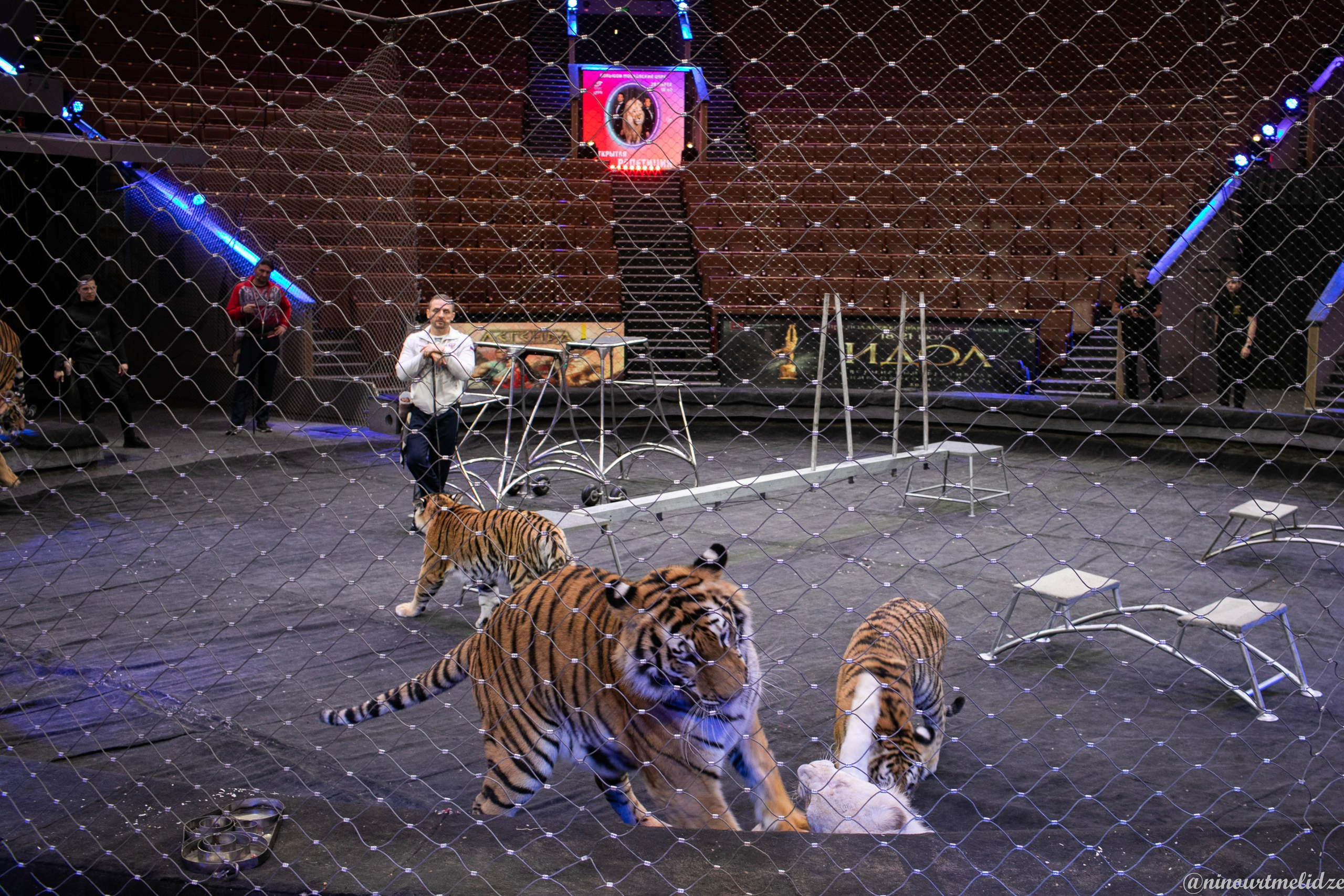 В закулисье у братьев Запашных. Art photographer Nino