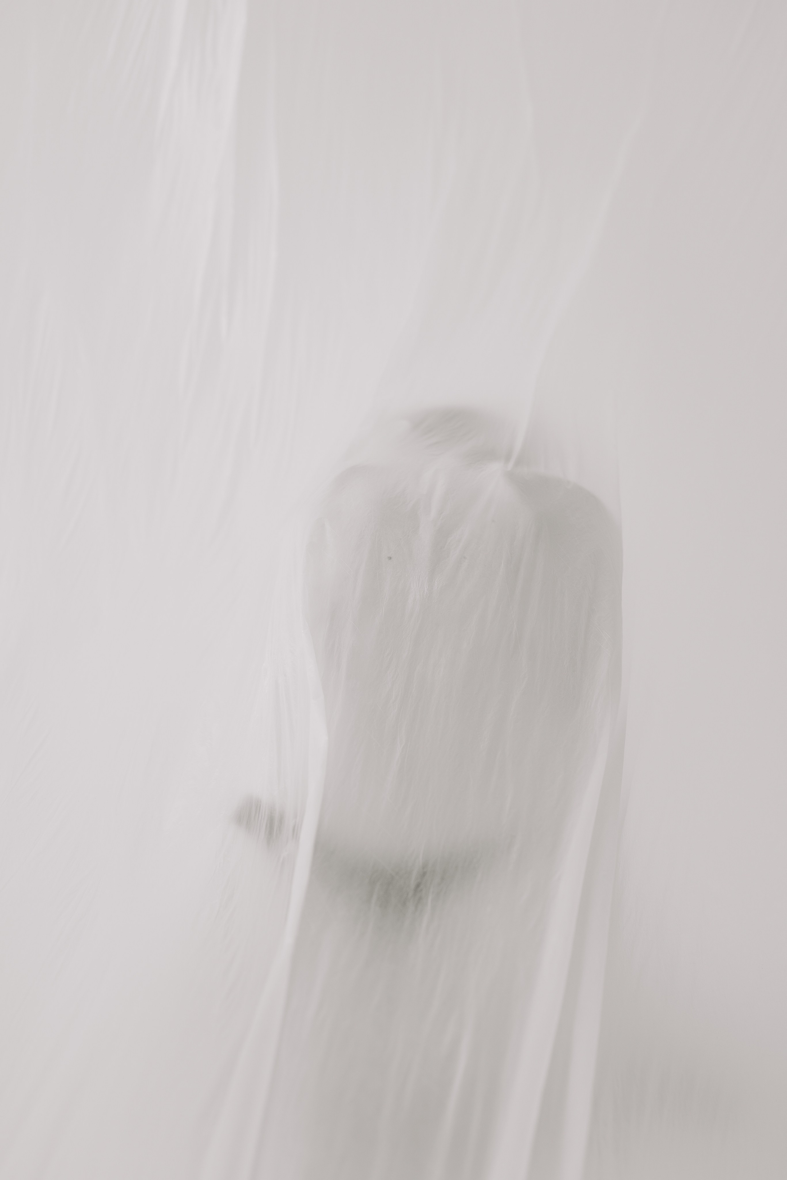 2024 | Рената. ТАТИ | Татьяна Тихонова | фотограф | Тольятти Самара