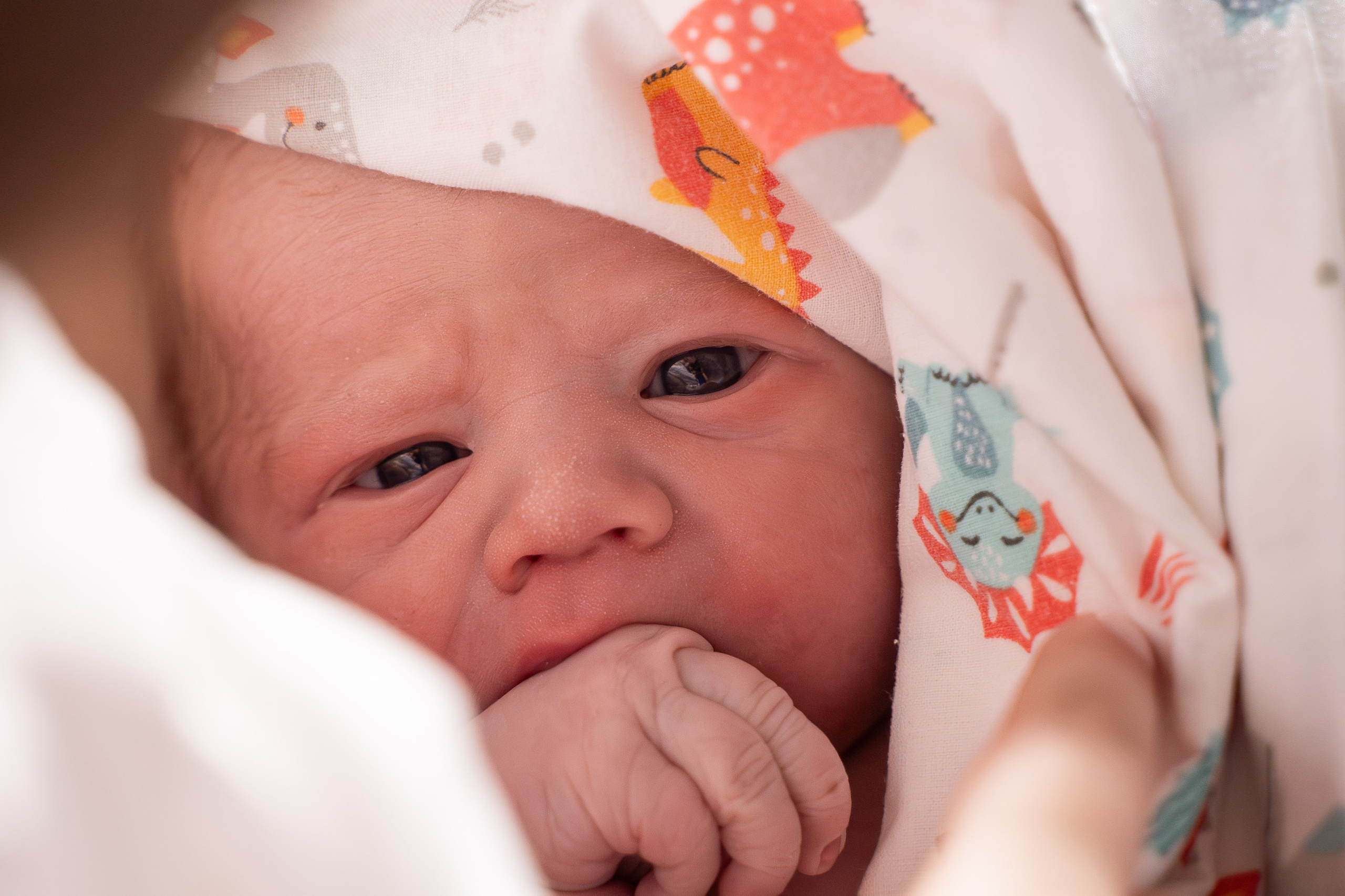 Давид. Фотограф на роды Москва Ольга Летучева