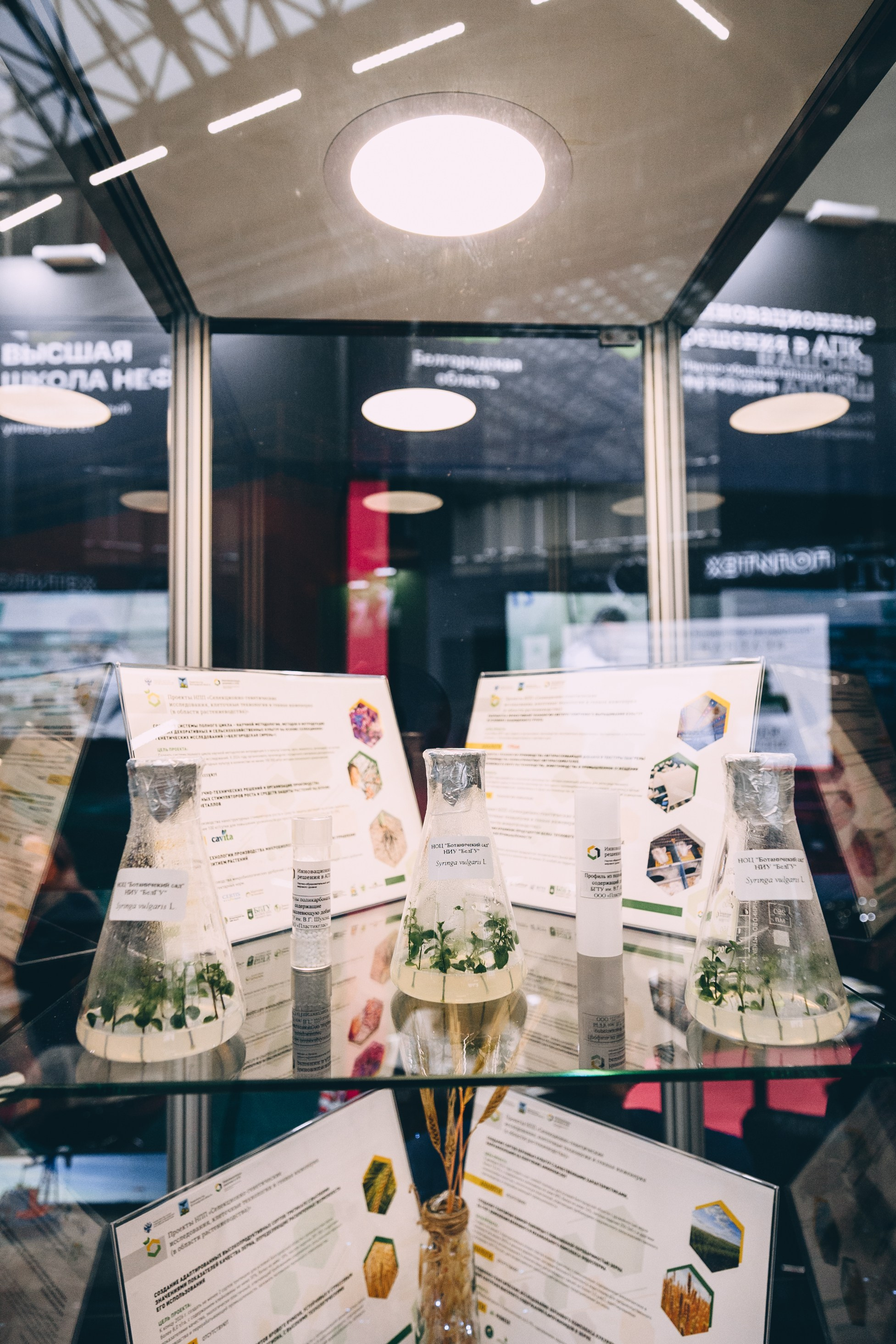 V Конгресс молодых ученых 2025. Свадебный и семейный фотограф София Невская