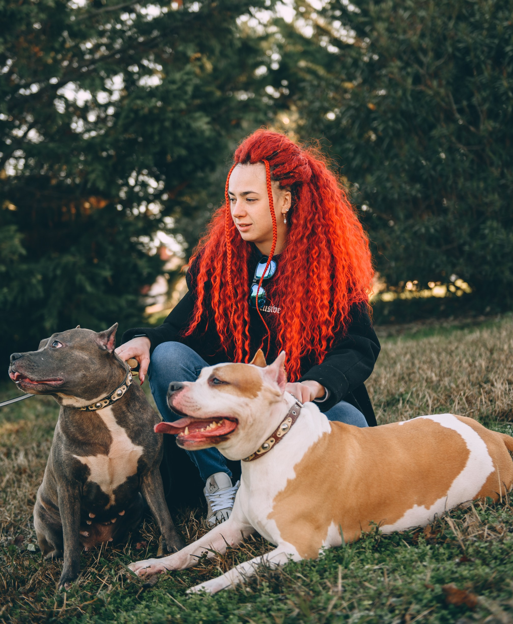 Игры с собаками. Свадебный и семейный фотограф София Невская