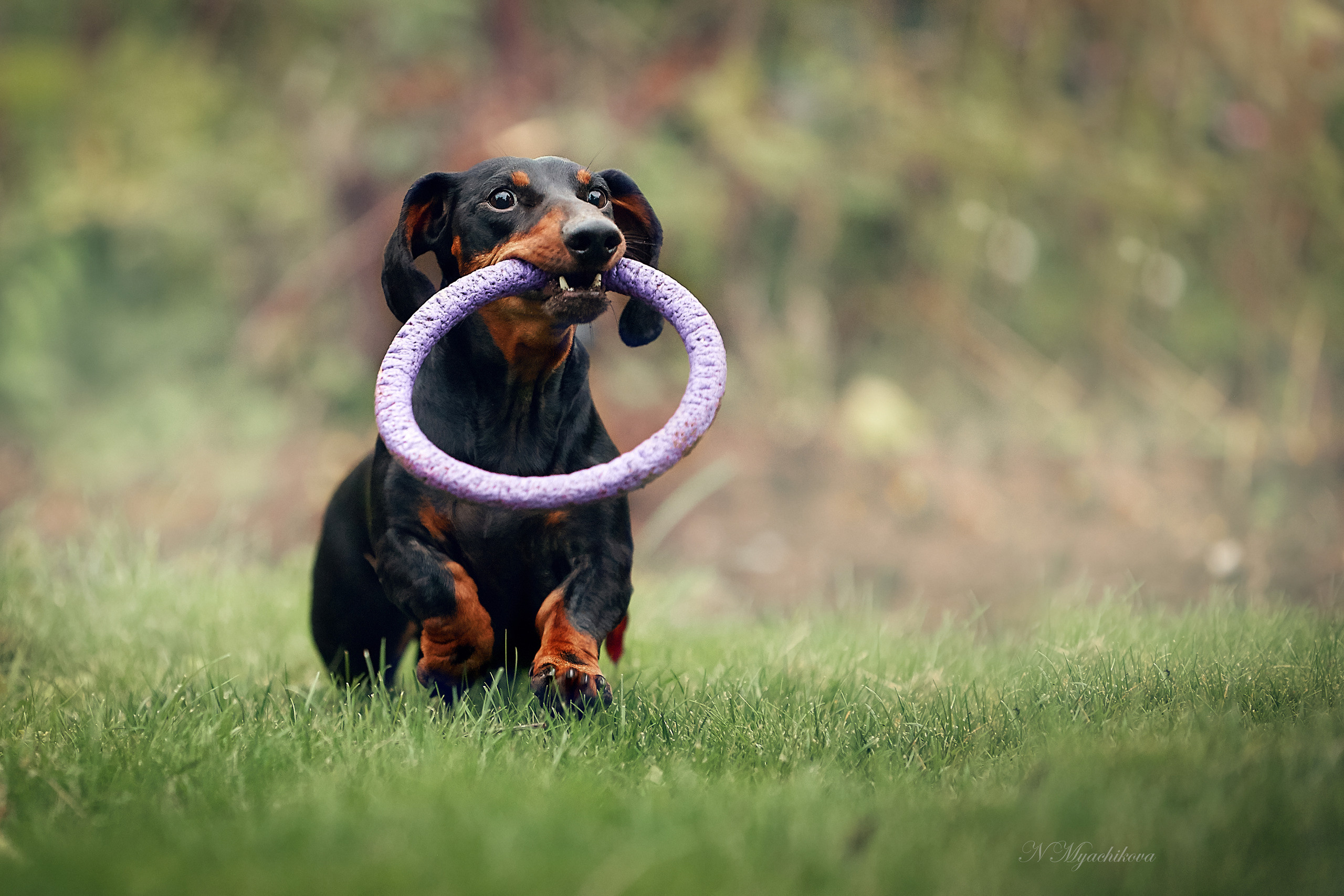 Съемка ребенка на Щелковском хуторе в Нижнем Новгороде. Детский и семейный фотограф в Нижнем Новгороде Мячикова Наталья