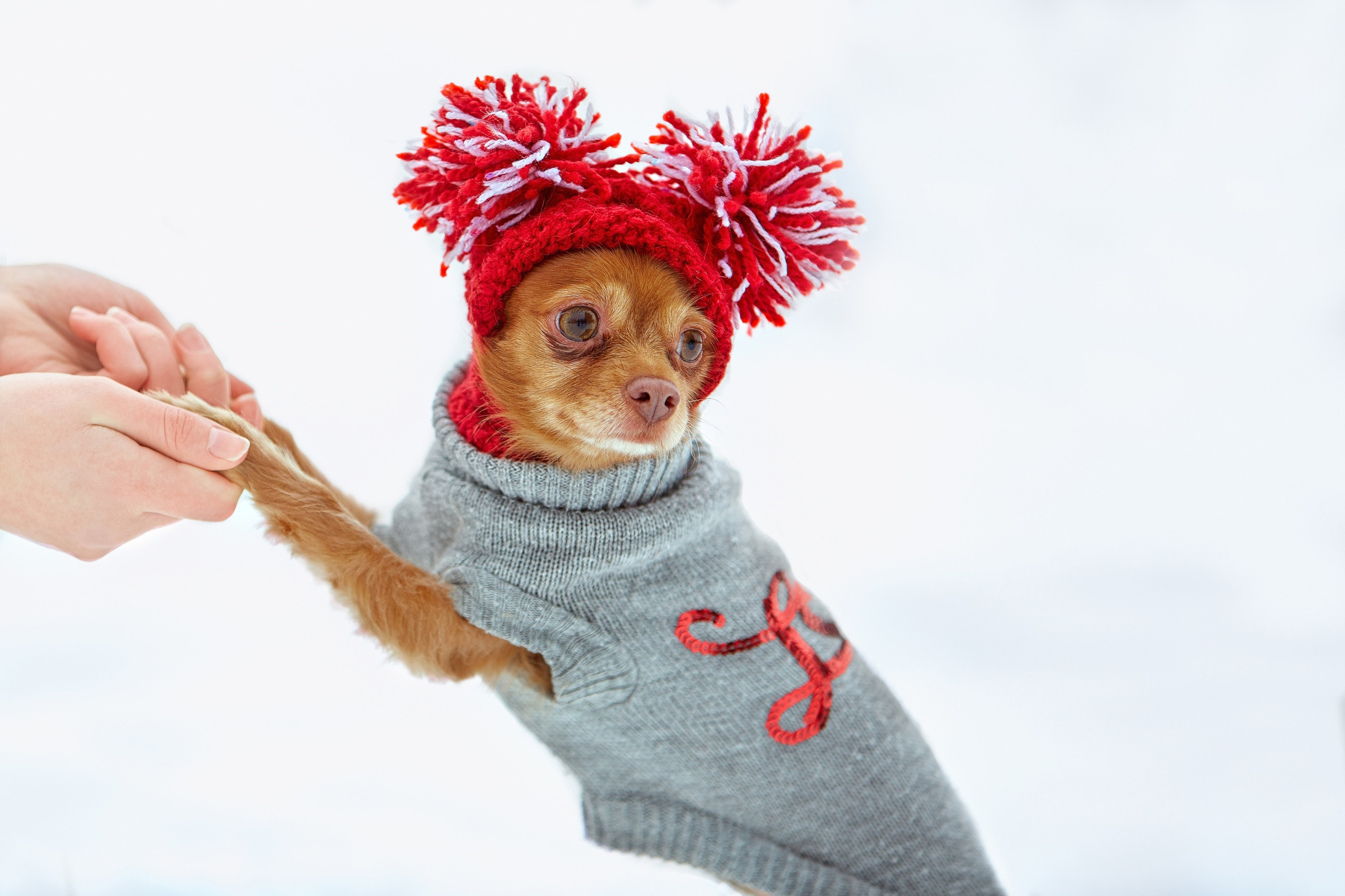 Съемка ребенка на Щелковском хуторе в Нижнем Новгороде. Детский и семейный фотограф в Нижнем Новгороде Мячикова Наталья