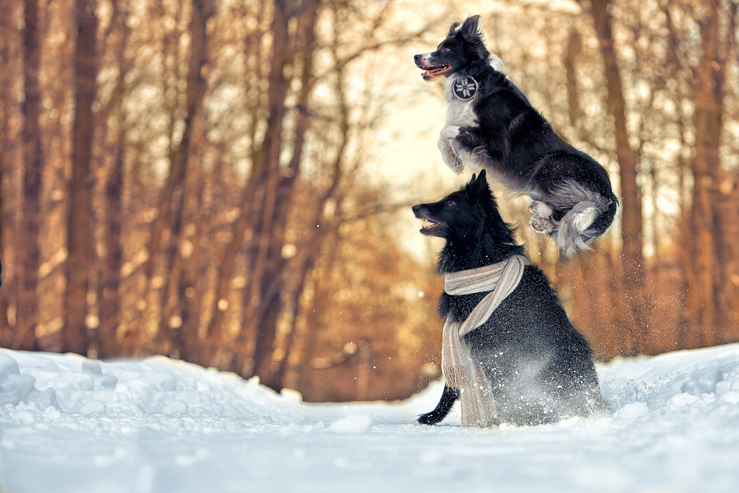 Съемка ребенка на Щелковском хуторе в Нижнем Новгороде. Детский и семейный фотограф в Нижнем Новгороде Мячикова Наталья
