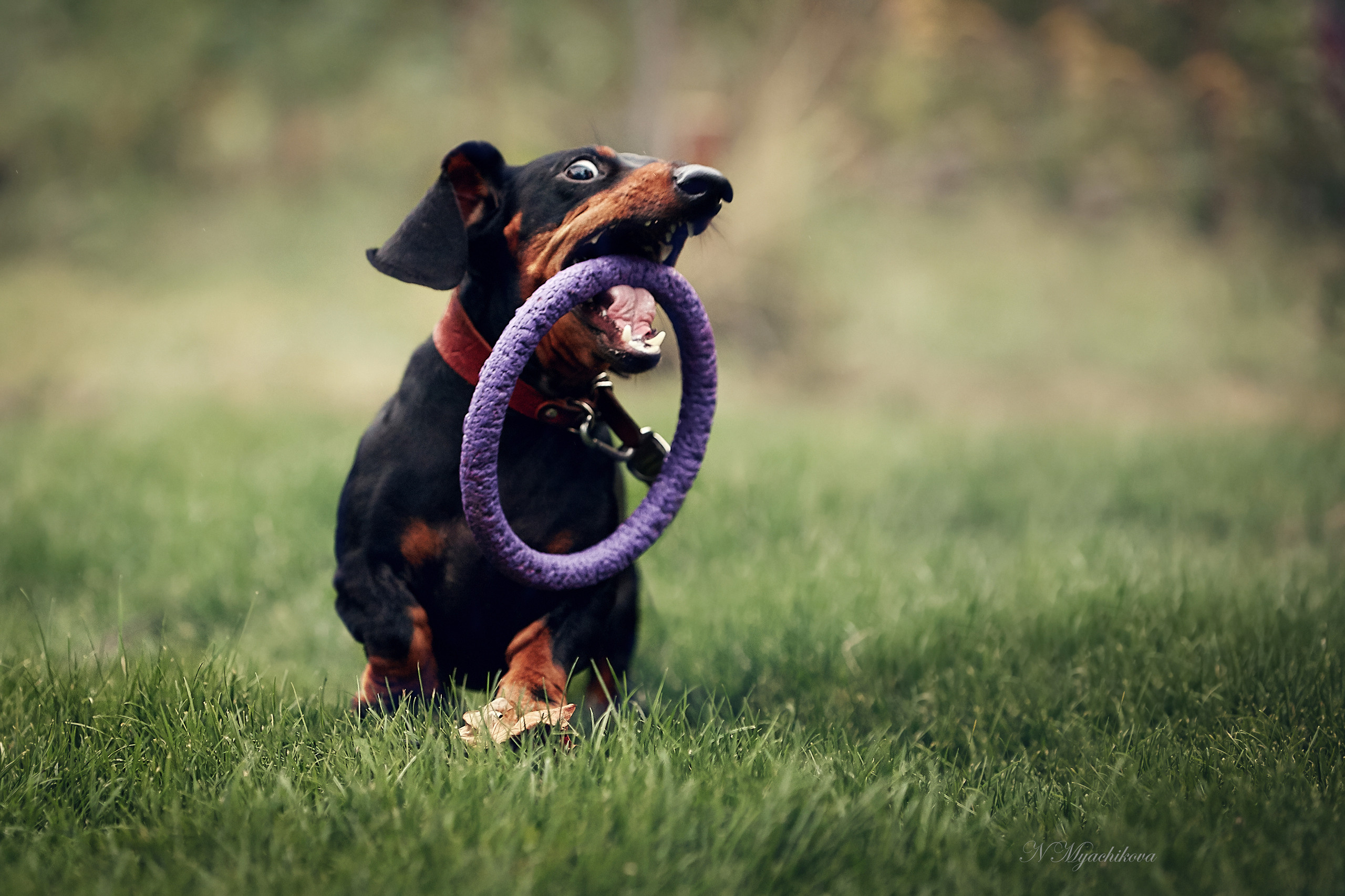 Съемка ребенка на Щелковском хуторе в Нижнем Новгороде. Детский и семейный фотограф в Нижнем Новгороде Мячикова Наталья