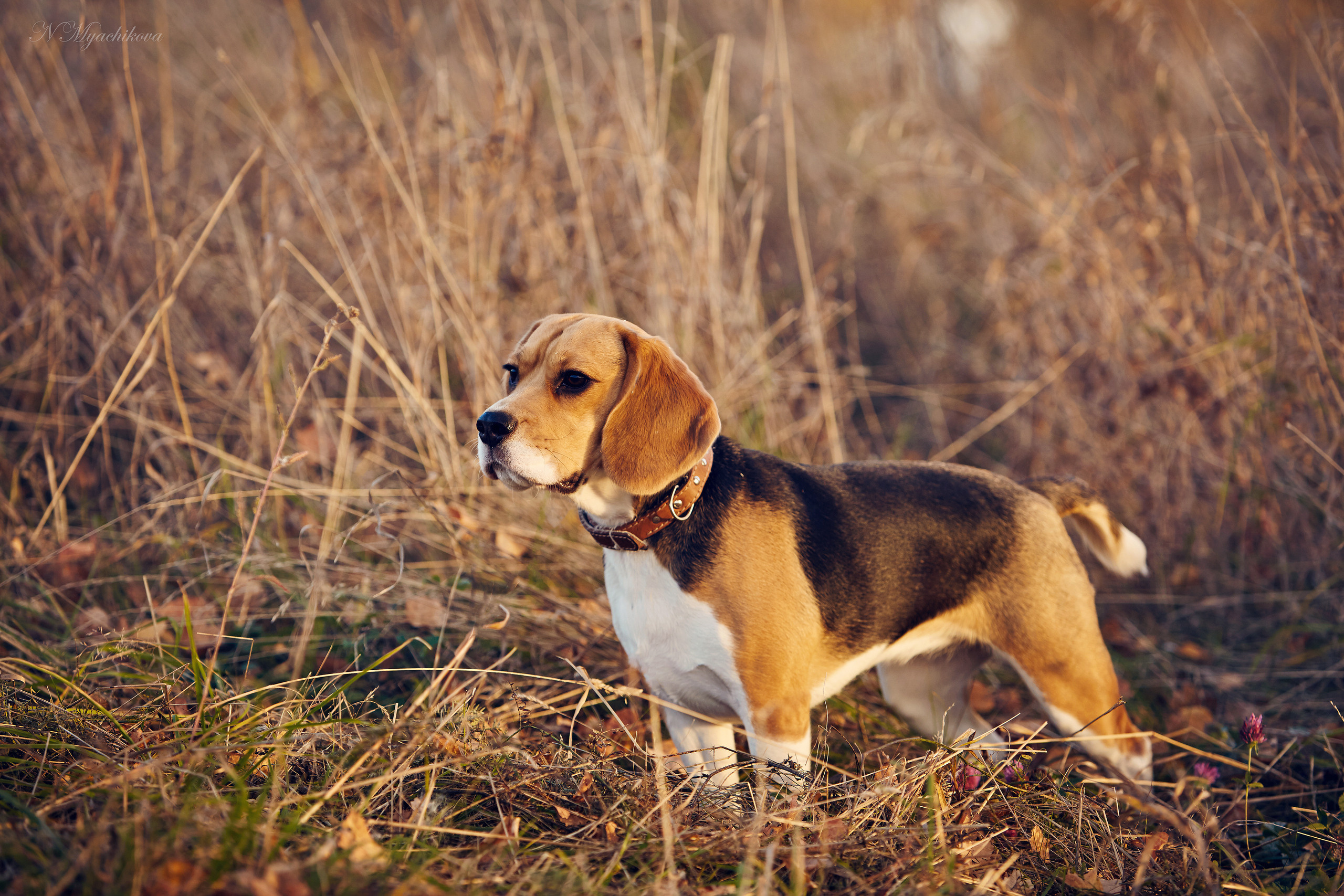 Съемка ребенка на Щелковском хуторе в Нижнем Новгороде. Детский и семейный фотограф в Нижнем Новгороде Мячикова Наталья