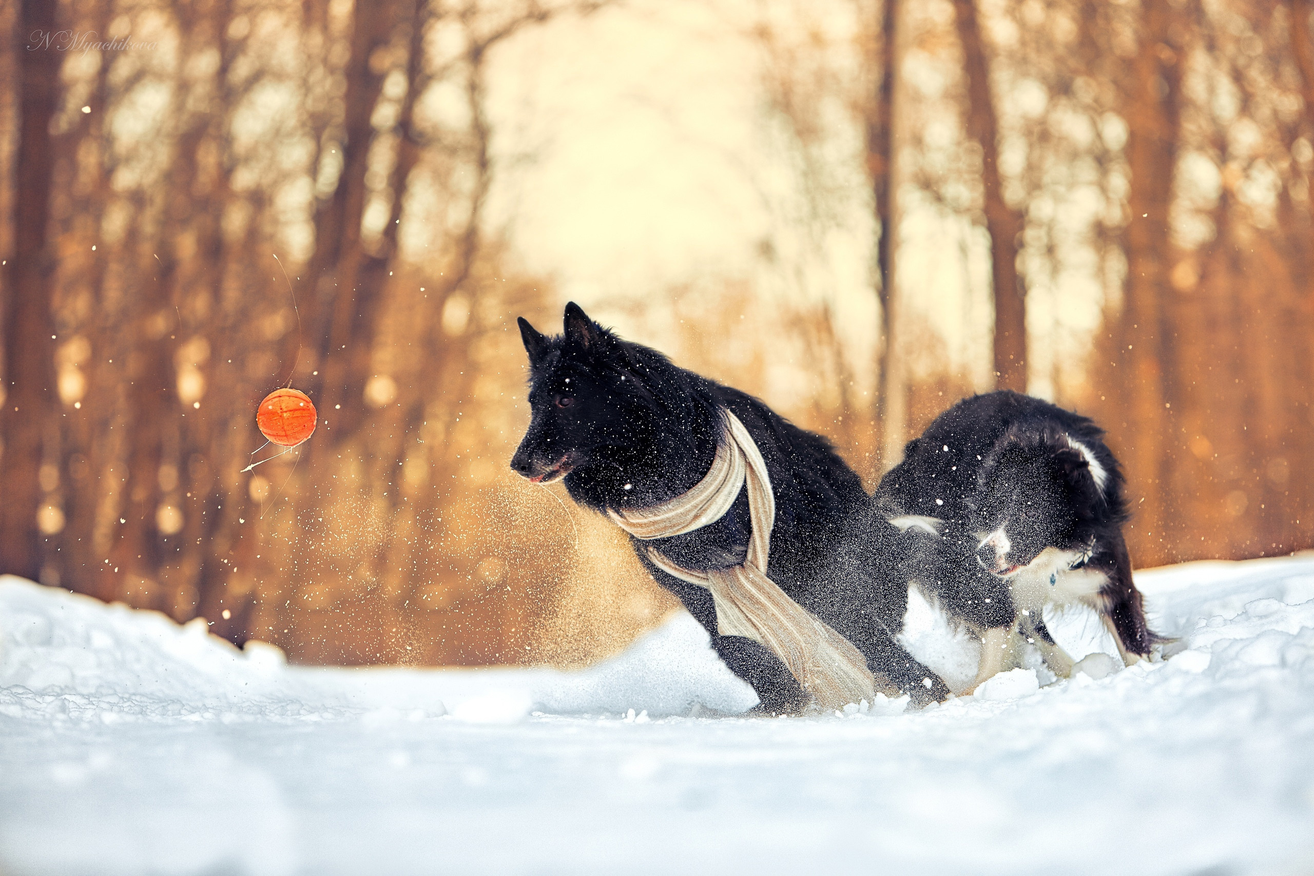 Съемка ребенка на Щелковском хуторе в Нижнем Новгороде. Детский и семейный фотограф в Нижнем Новгороде Мячикова Наталья