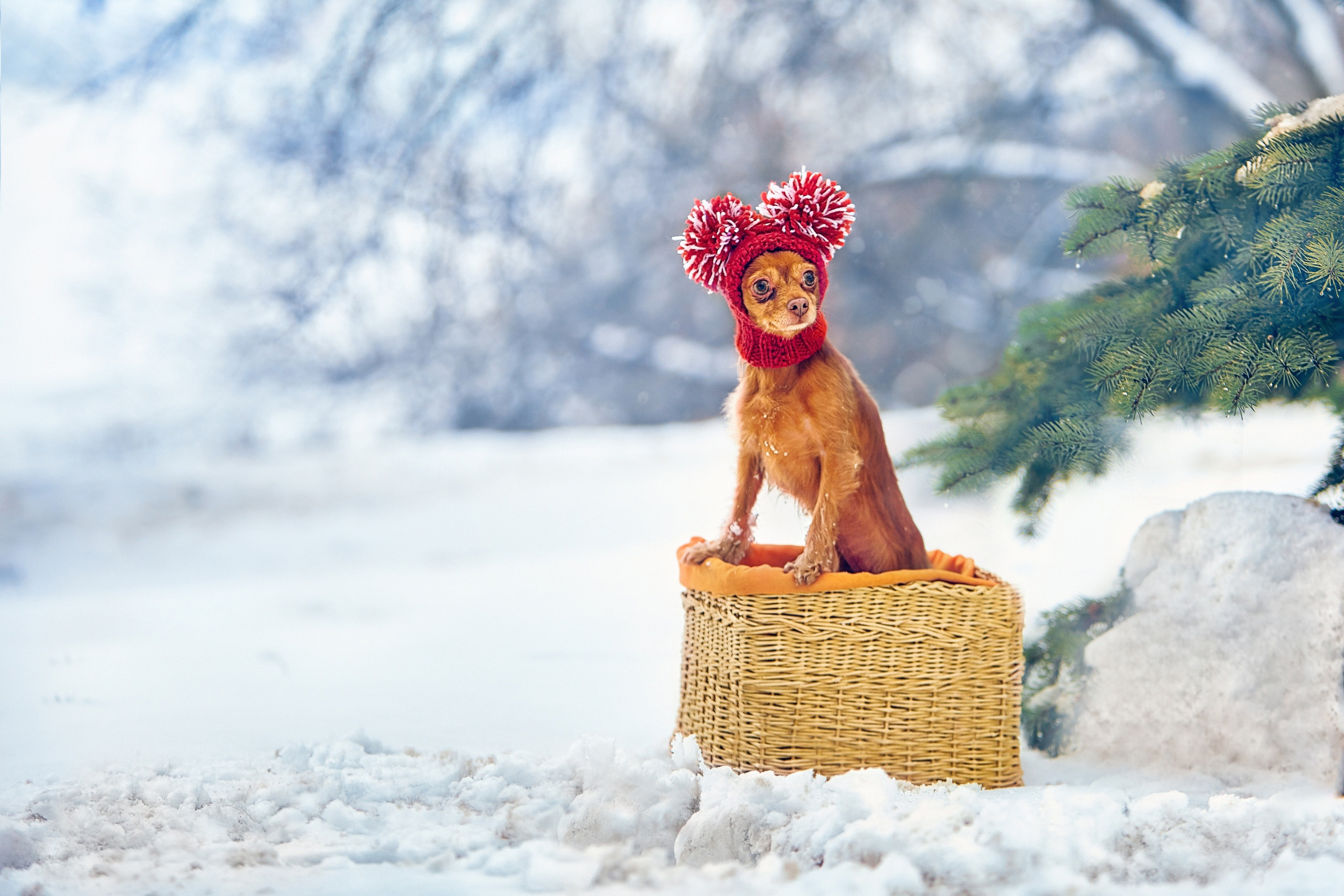 Съемка ребенка на Щелковском хуторе в Нижнем Новгороде. Детский и семейный фотограф в Нижнем Новгороде Мячикова Наталья