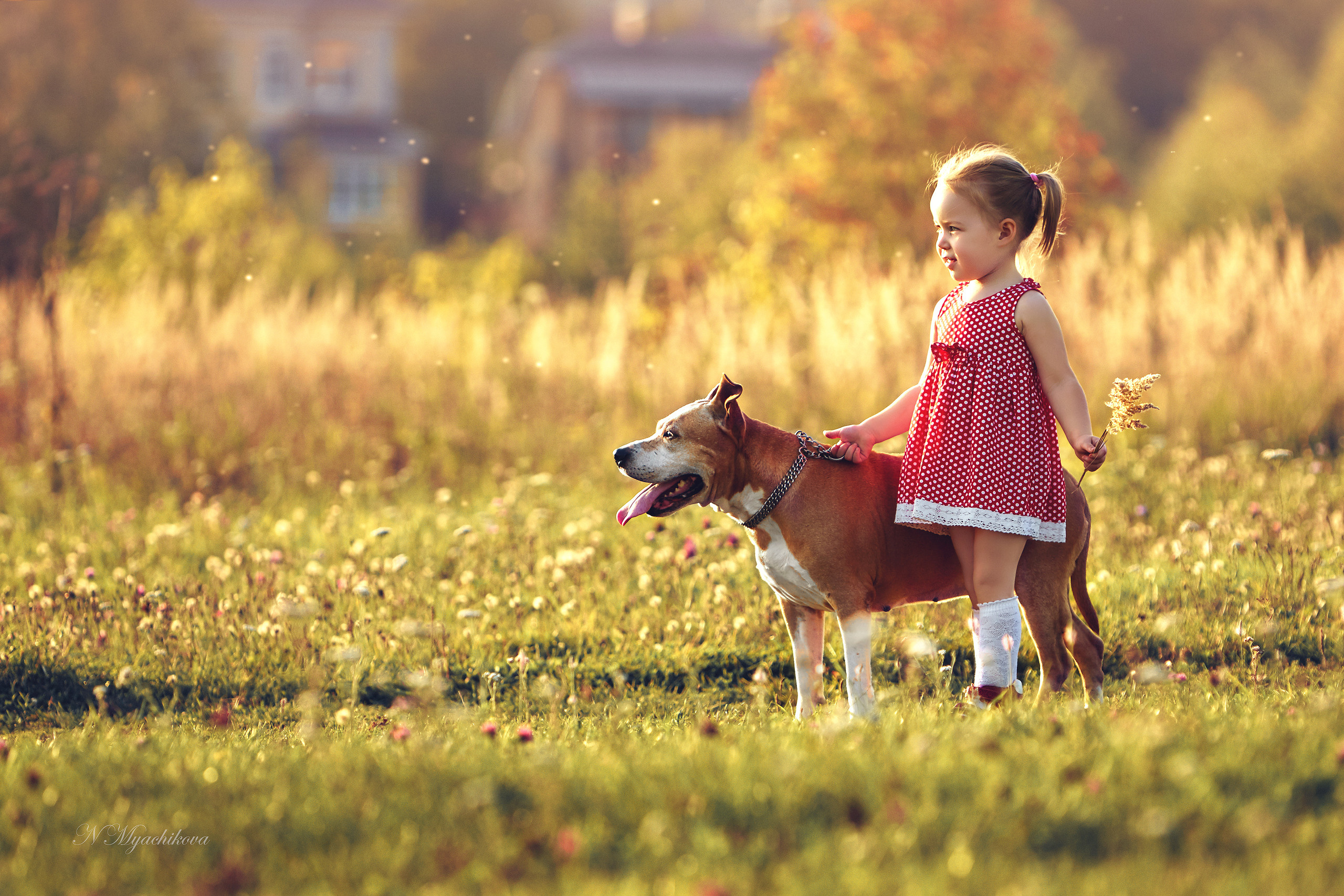 Съемка ребенка на Щелковском хуторе в Нижнем Новгороде. Детский и семейный фотограф в Нижнем Новгороде Мячикова Наталья