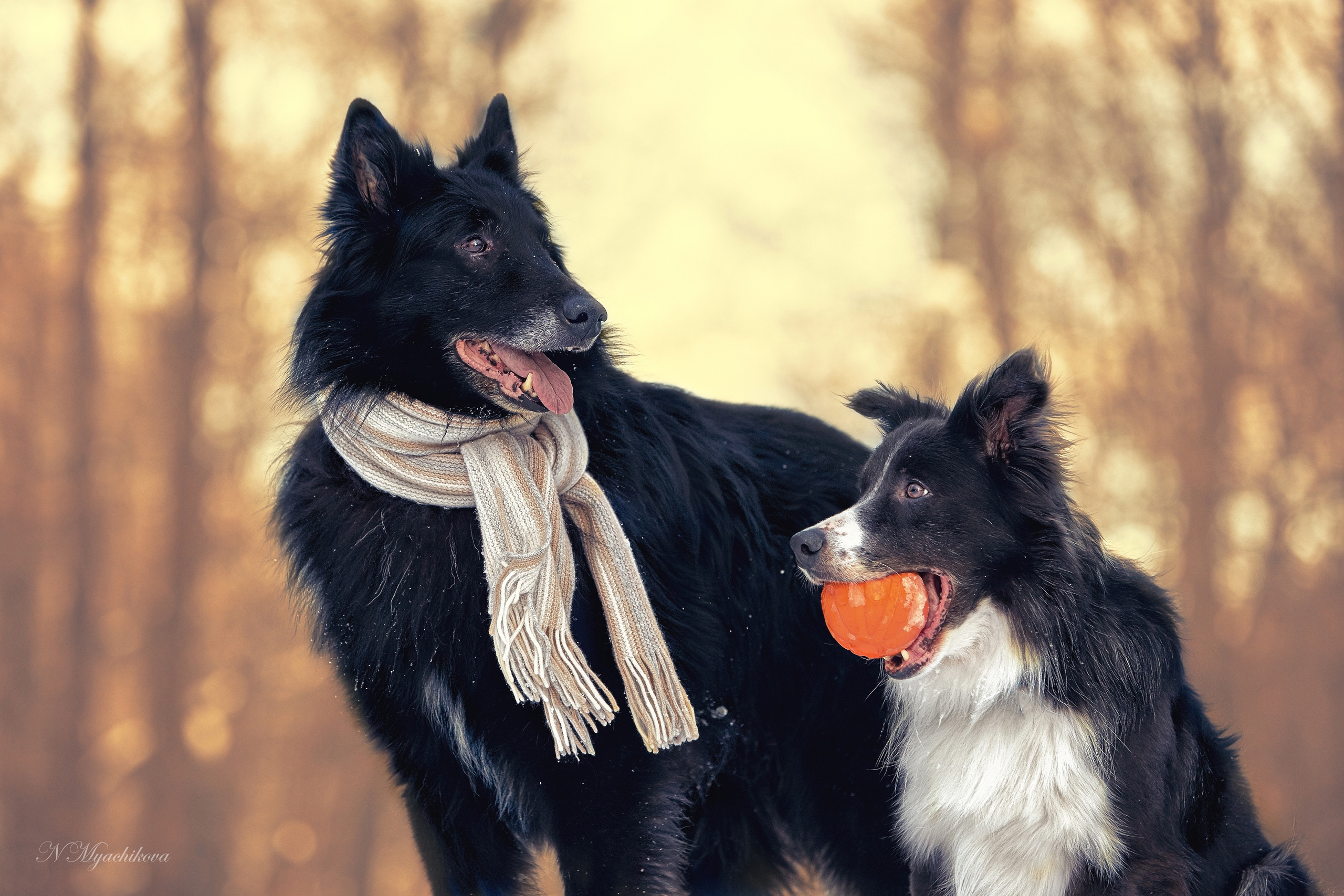 Съемка ребенка на Щелковском хуторе в Нижнем Новгороде. Детский и семейный фотограф в Нижнем Новгороде Мячикова Наталья