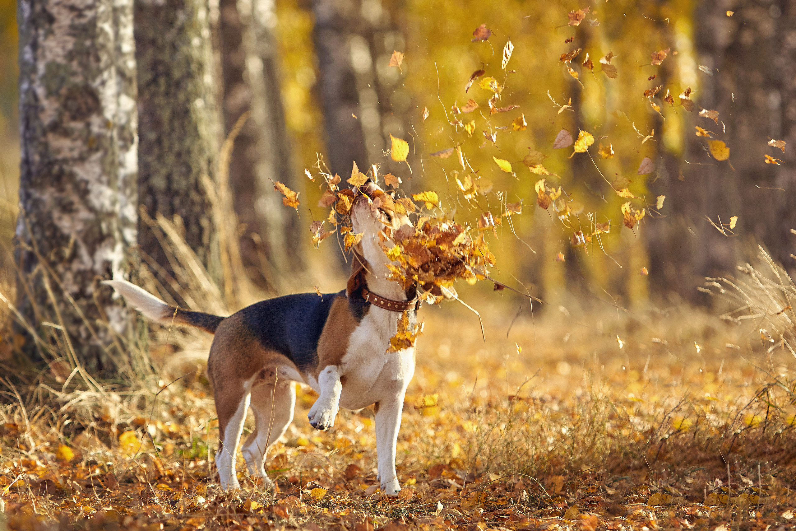 Съемка ребенка на Щелковском хуторе в Нижнем Новгороде. Детский и семейный фотограф в Нижнем Новгороде Мячикова Наталья
