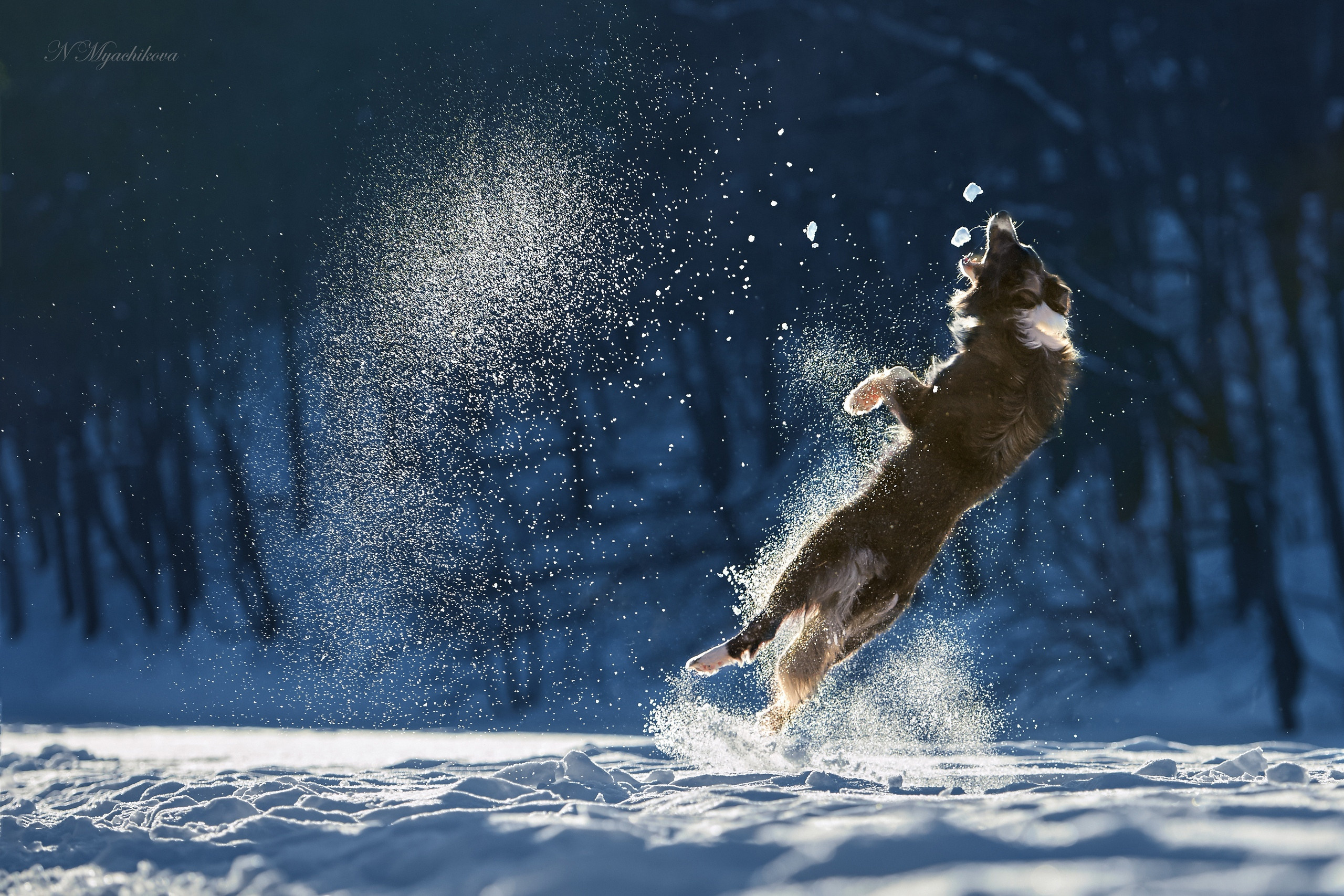 Съемка ребенка на Щелковском хуторе в Нижнем Новгороде. Детский и семейный фотограф в Нижнем Новгороде Мячикова Наталья