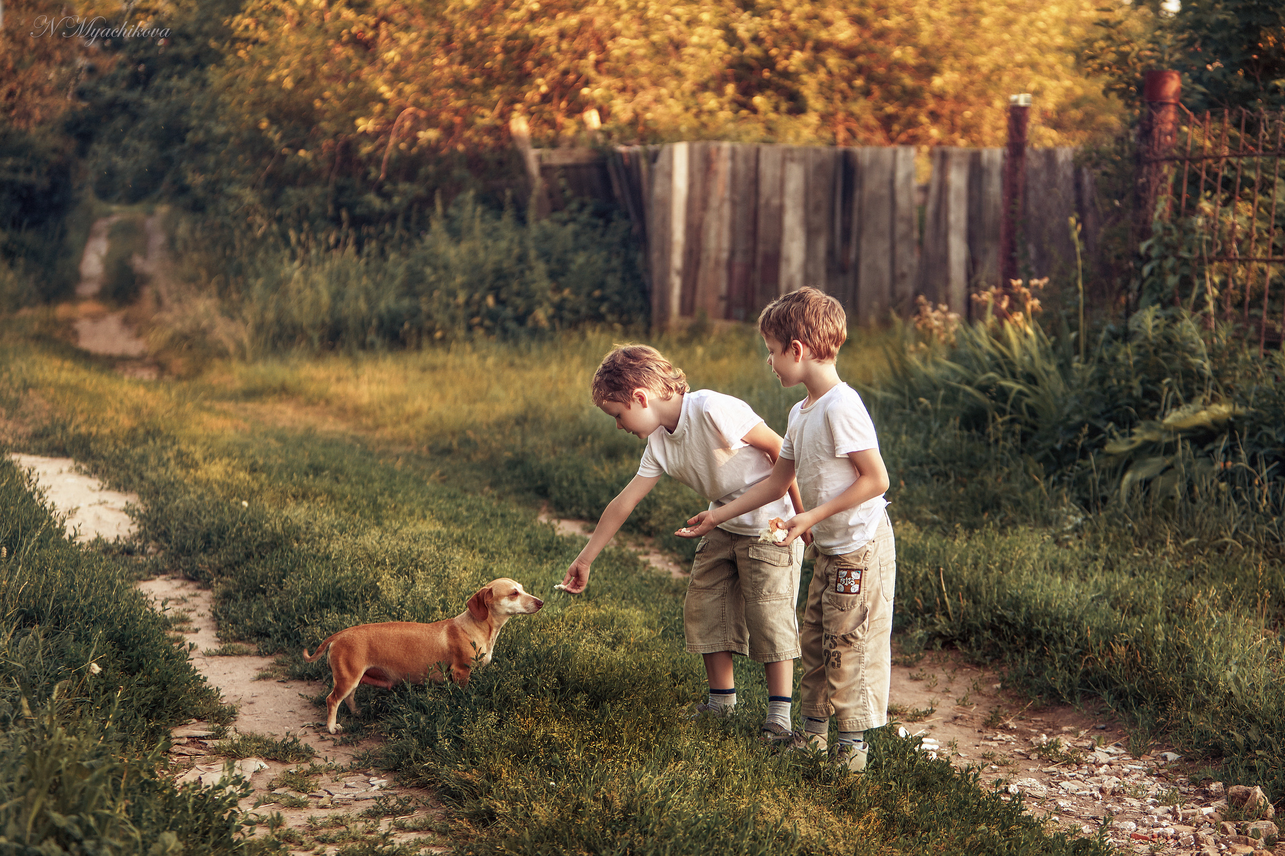 Детская фотосессия на улице и в студии. Детский и семейный фотограф в Нижнем Новгороде Мячикова Наталья