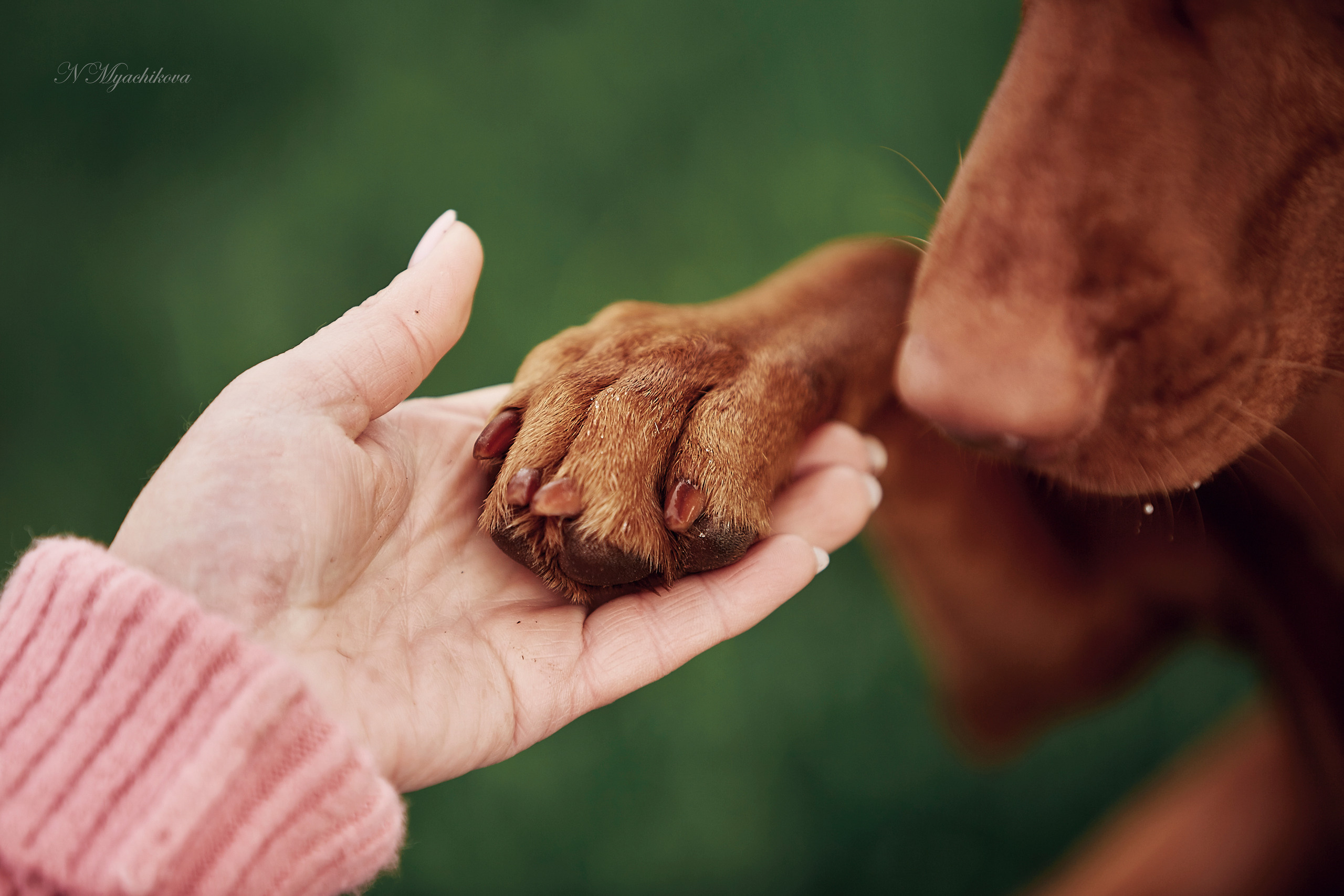 Съемка ребенка на Щелковском хуторе в Нижнем Новгороде. Детский и семейный фотограф в Нижнем Новгороде Мячикова Наталья