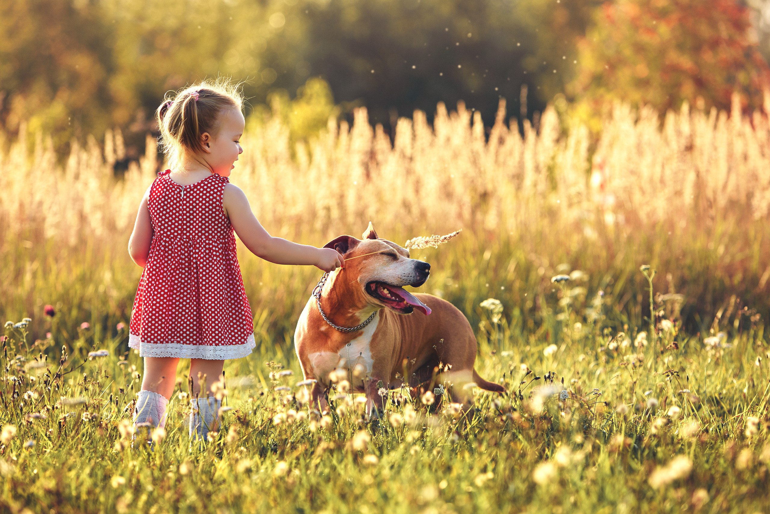 Съемка ребенка на Щелковском хуторе в Нижнем Новгороде. Детский и семейный фотограф в Нижнем Новгороде Мячикова Наталья