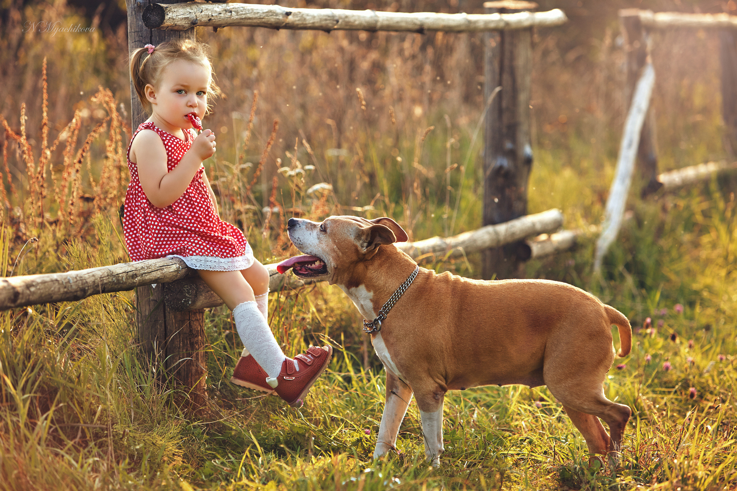 Съемка ребенка на Щелковском хуторе в Нижнем Новгороде. Детский и семейный фотограф в Нижнем Новгороде Мячикова Наталья