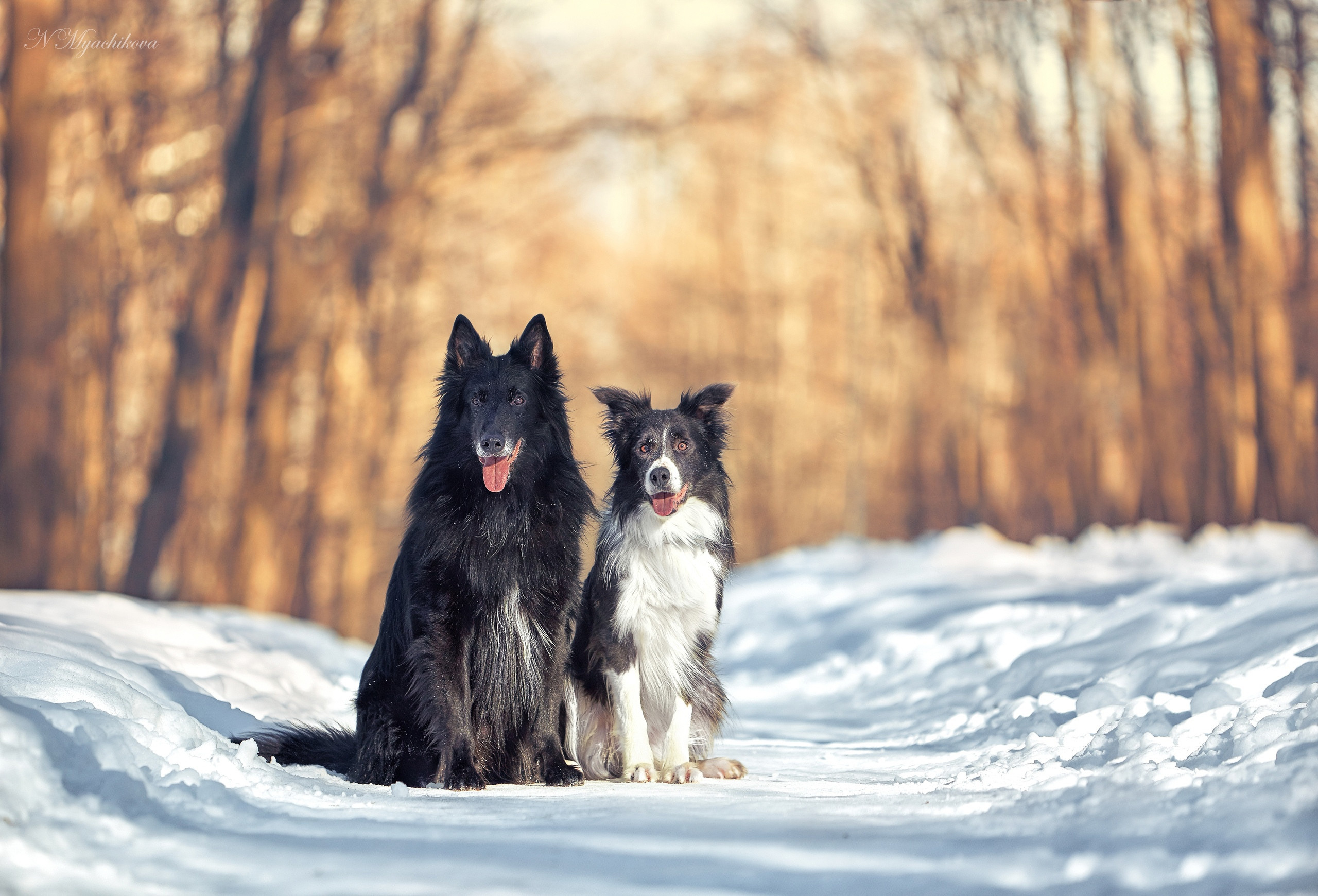 Съемка ребенка на Щелковском хуторе в Нижнем Новгороде. Детский и семейный фотограф в Нижнем Новгороде Мячикова Наталья