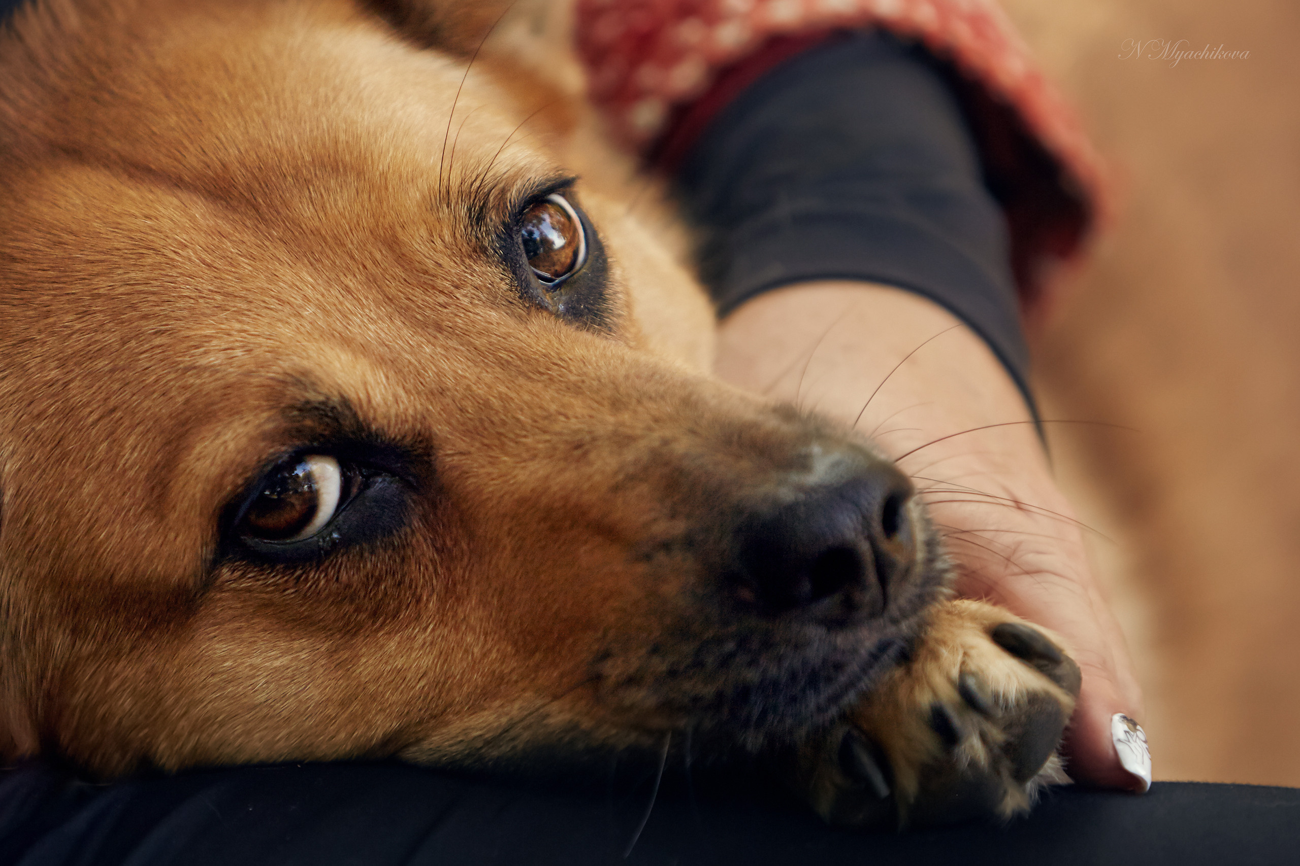 Съемка ребенка на Щелковском хуторе в Нижнем Новгороде. Детский и семейный фотограф в Нижнем Новгороде Мячикова Наталья