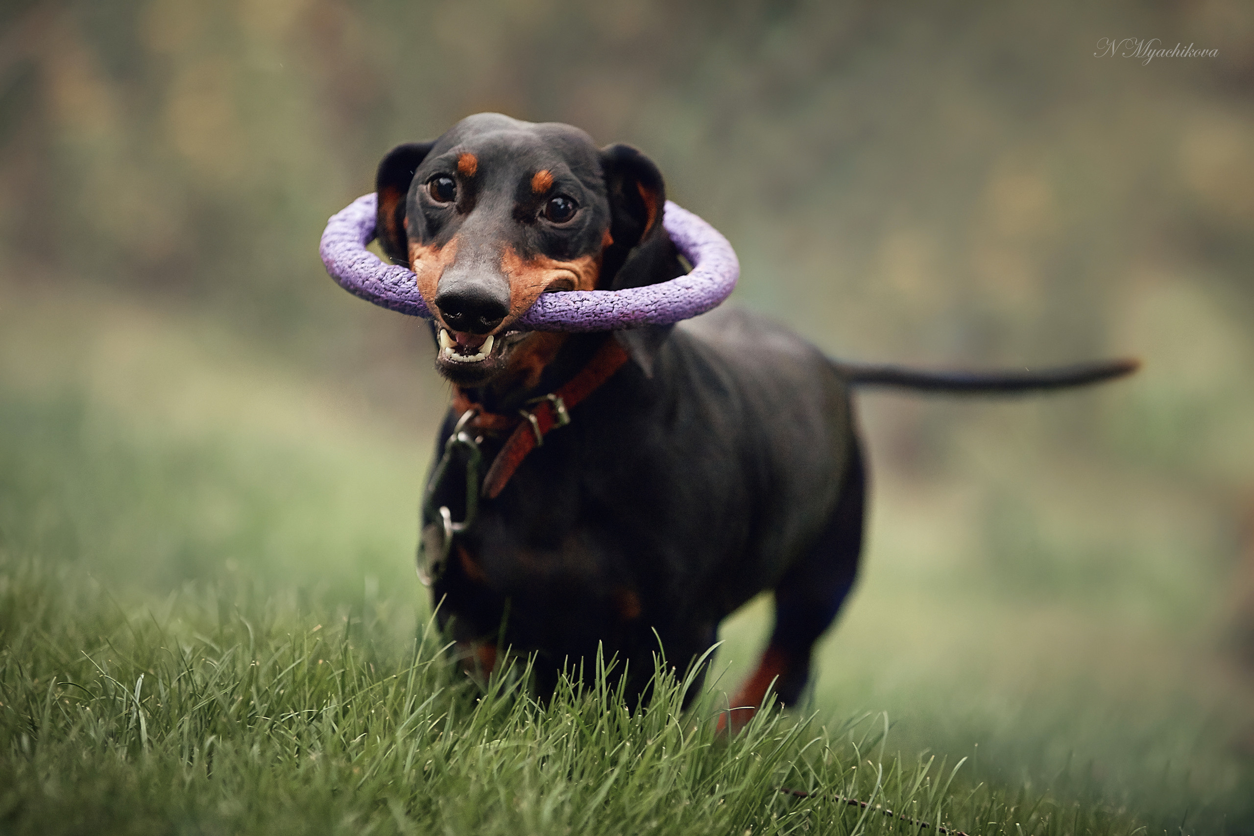Съемка ребенка на Щелковском хуторе в Нижнем Новгороде. Детский и семейный фотограф в Нижнем Новгороде Мячикова Наталья
