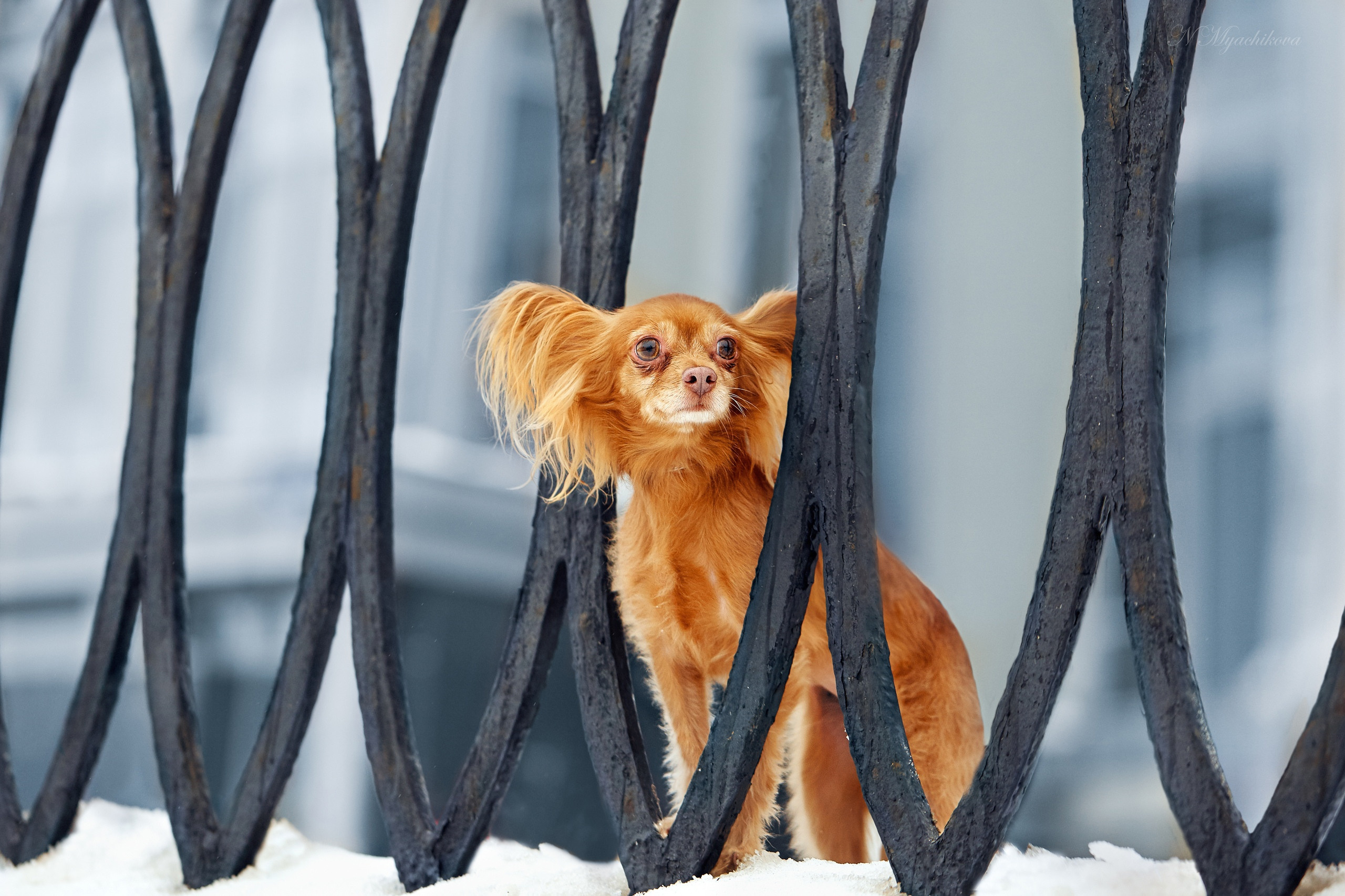 Съемка ребенка на Щелковском хуторе в Нижнем Новгороде. Детский и семейный фотограф в Нижнем Новгороде Мячикова Наталья