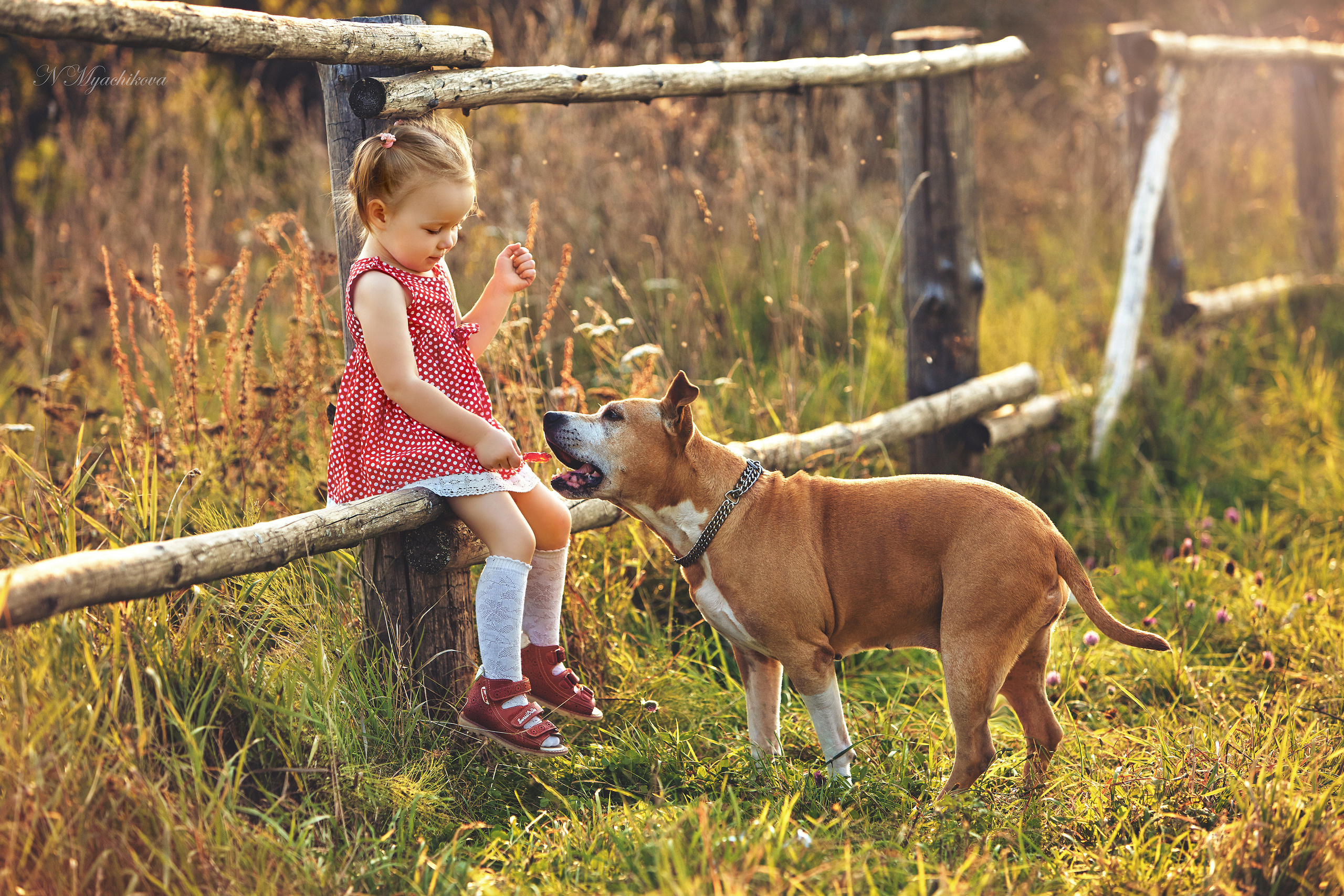 Съемка ребенка на Щелковском хуторе в Нижнем Новгороде. Детский и семейный фотограф в Нижнем Новгороде Мячикова Наталья