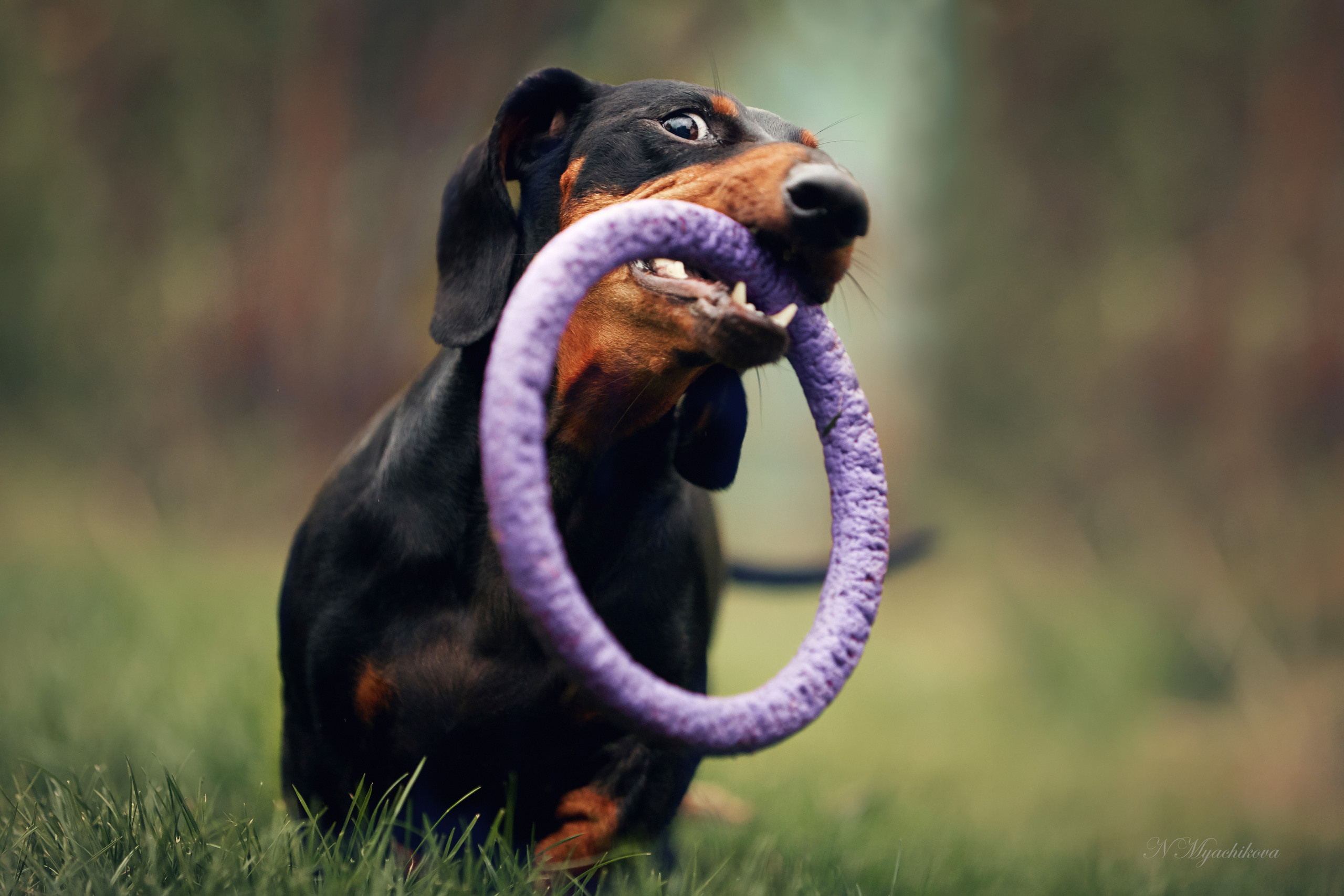 Съемка ребенка на Щелковском хуторе в Нижнем Новгороде. Детский и семейный фотограф в Нижнем Новгороде Мячикова Наталья