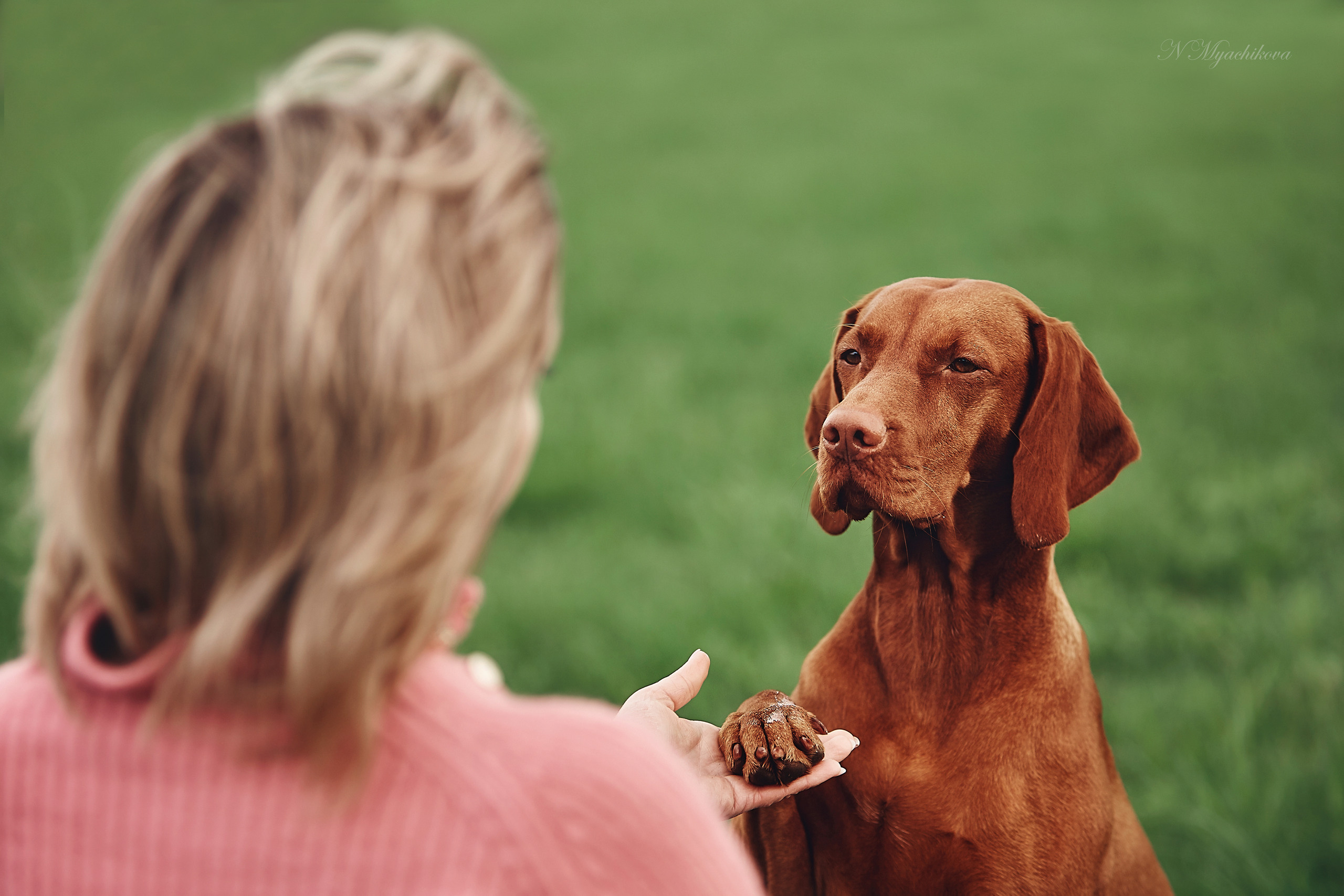 Съемка ребенка на Щелковском хуторе в Нижнем Новгороде. Детский и семейный фотограф в Нижнем Новгороде Мячикова Наталья