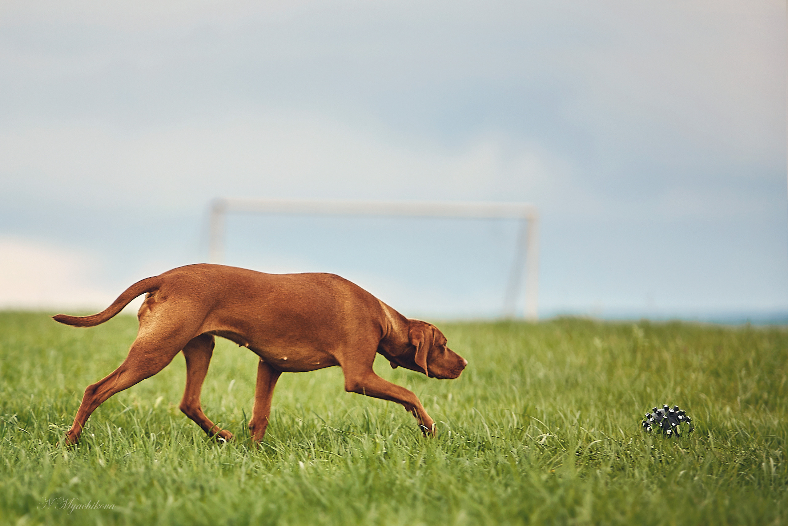Съемка ребенка на Щелковском хуторе в Нижнем Новгороде. Детский и семейный фотограф в Нижнем Новгороде Мячикова Наталья