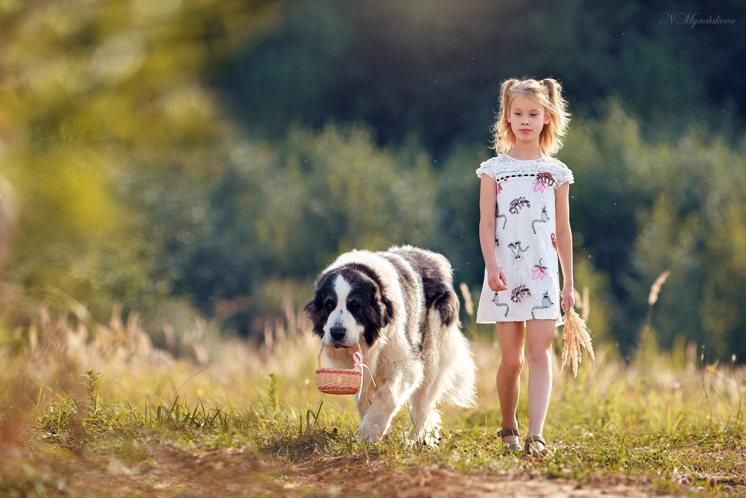 Съемка ребенка на Щелковском хуторе в Нижнем Новгороде. Детский и семейный фотограф в Нижнем Новгороде Мячикова Наталья