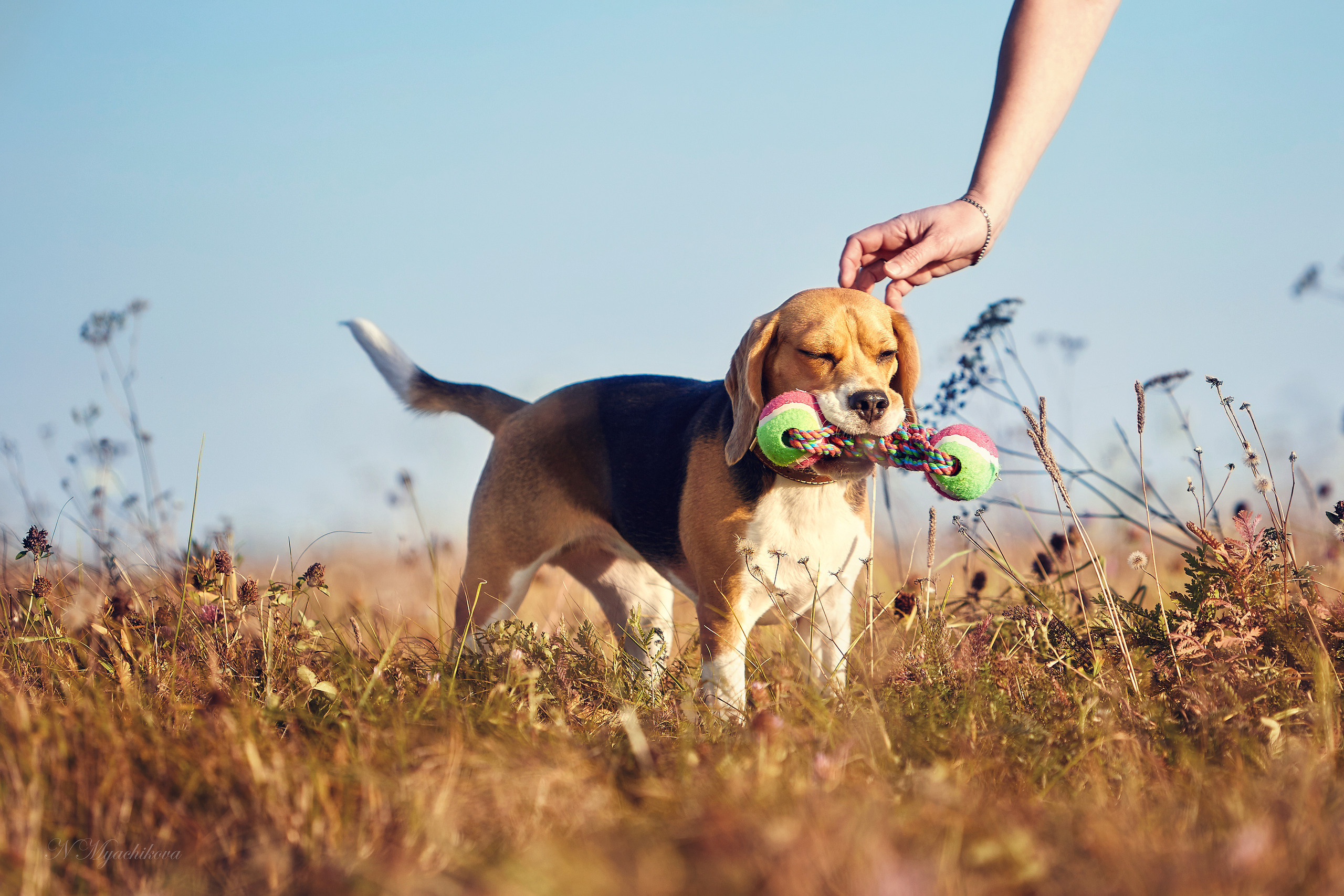 Съемка ребенка на Щелковском хуторе в Нижнем Новгороде. Детский и семейный фотограф в Нижнем Новгороде Мячикова Наталья
