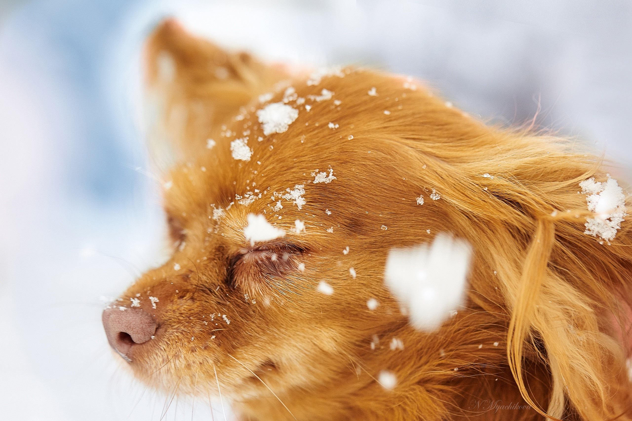 Съемка ребенка на Щелковском хуторе в Нижнем Новгороде. Детский и семейный фотограф в Нижнем Новгороде Мячикова Наталья